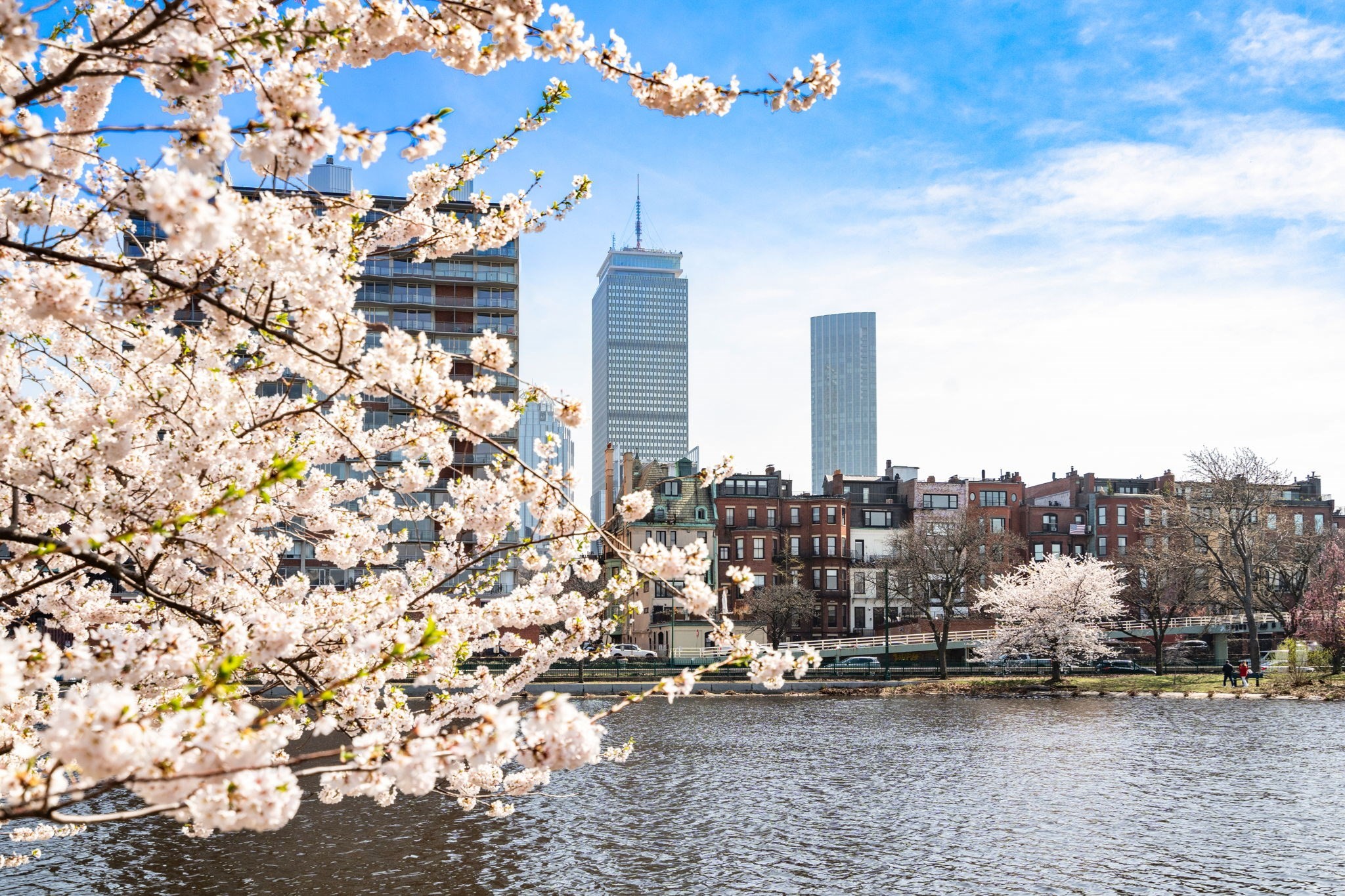 8 Fairfield Street, Back Bay, Boston, MA 02116 - Image 13