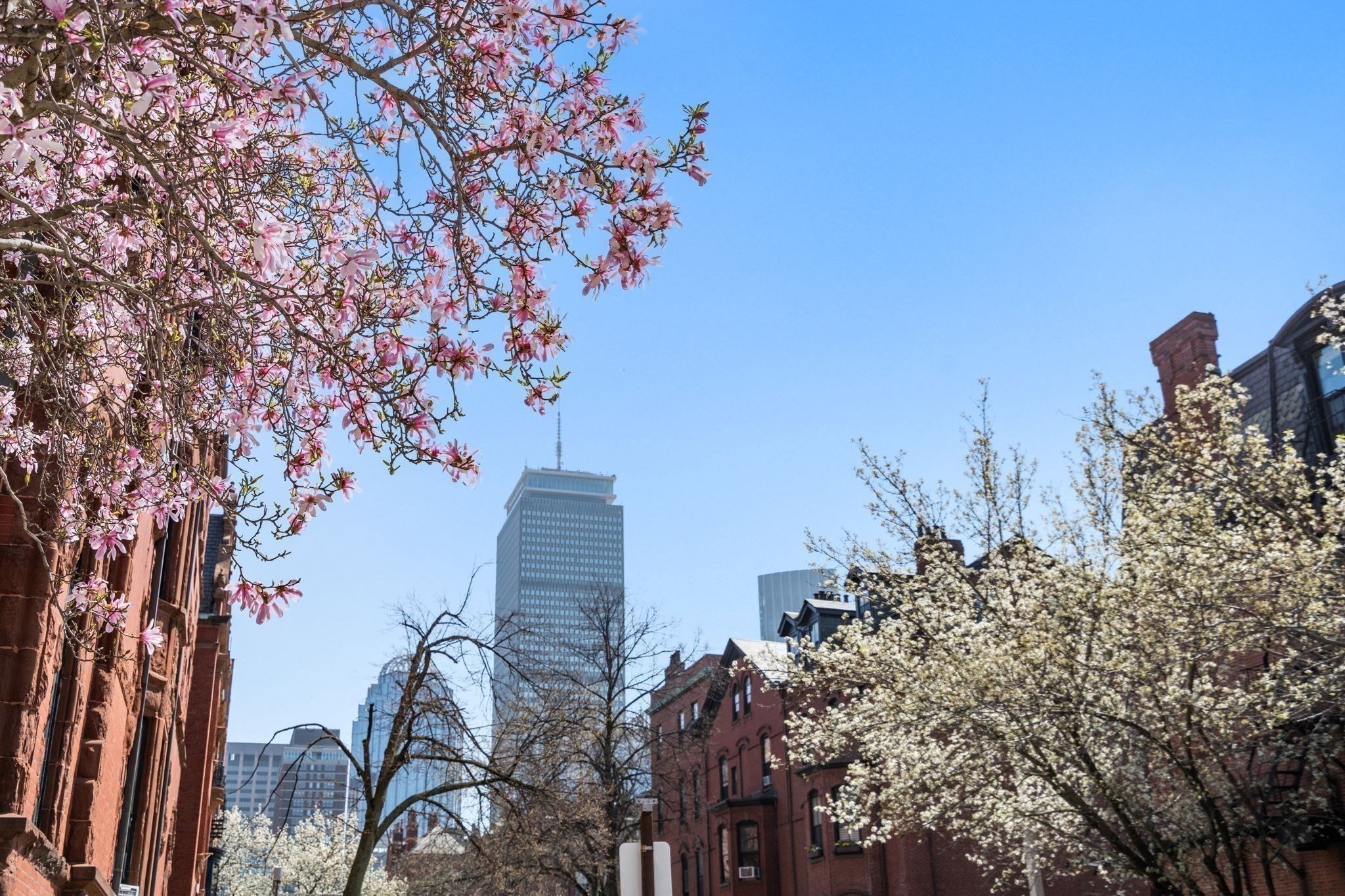 8 Fairfield Street, Back Bay, Boston, MA 02116 - Image 9