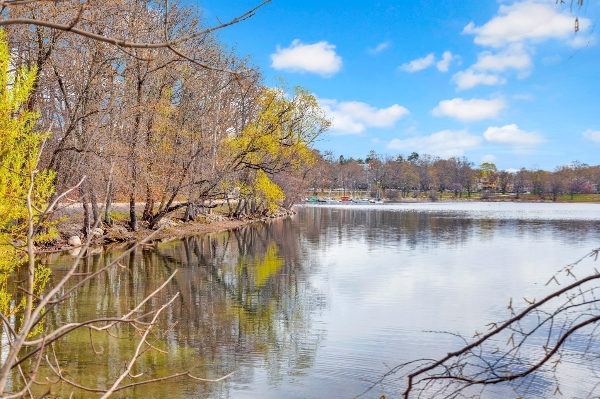 93 Moraine, Jamaica Plain, Boston, MA 02130 - Image 32