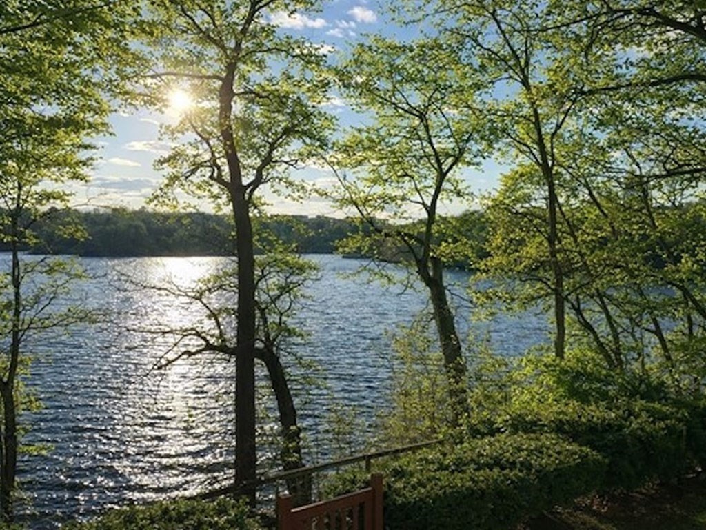 93 Riverview Avenue, Waltham, MA 02453