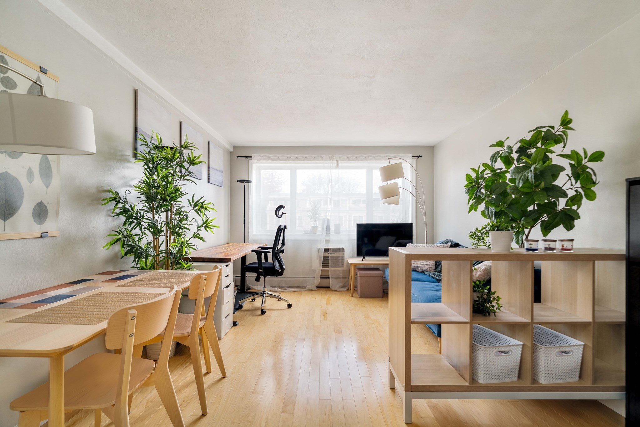 269 Harvard St Unit 23, Cambridge, MA 02139