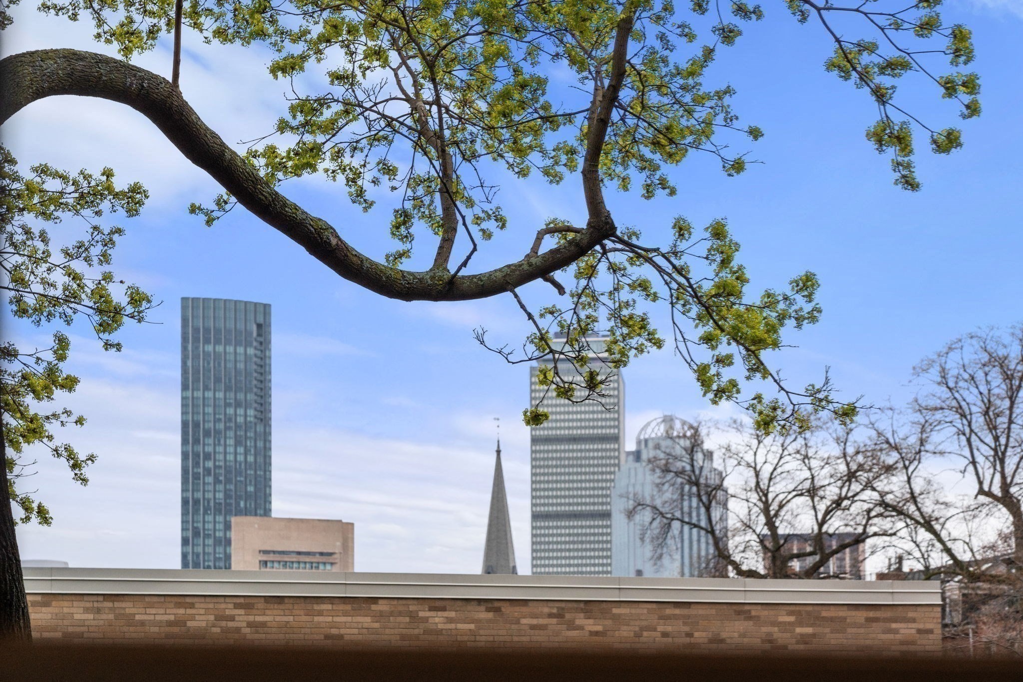 501 Shawmut Ave. Unit 3, South End, Boston, MA 02118 - Image 12