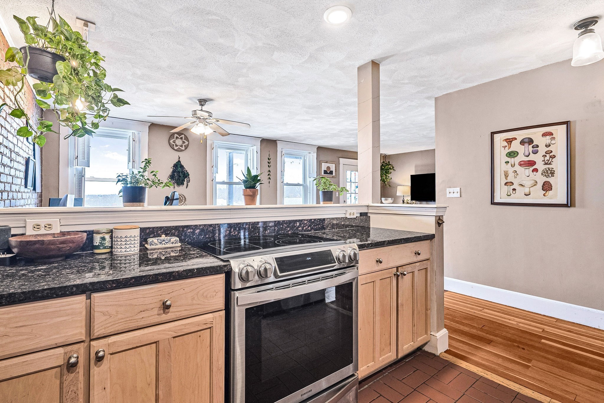 25 South Street Unit 4, Boston College, Boston, MA 02135 - Image 6