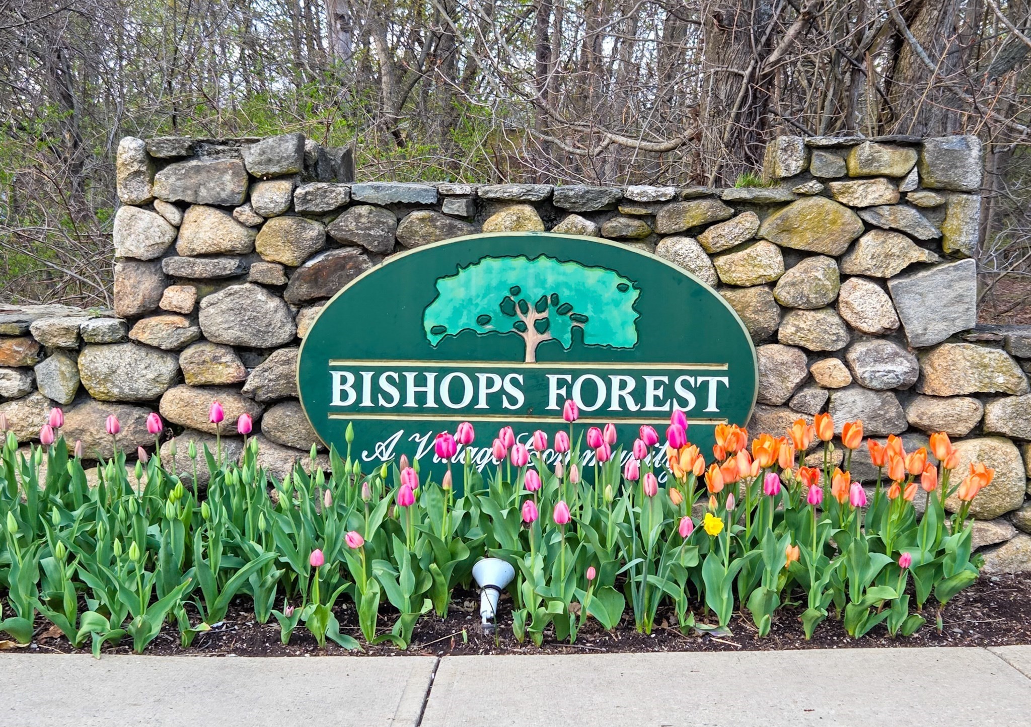 231 Bishops Forest Dr. Unit 231, Waltham, MA 02452