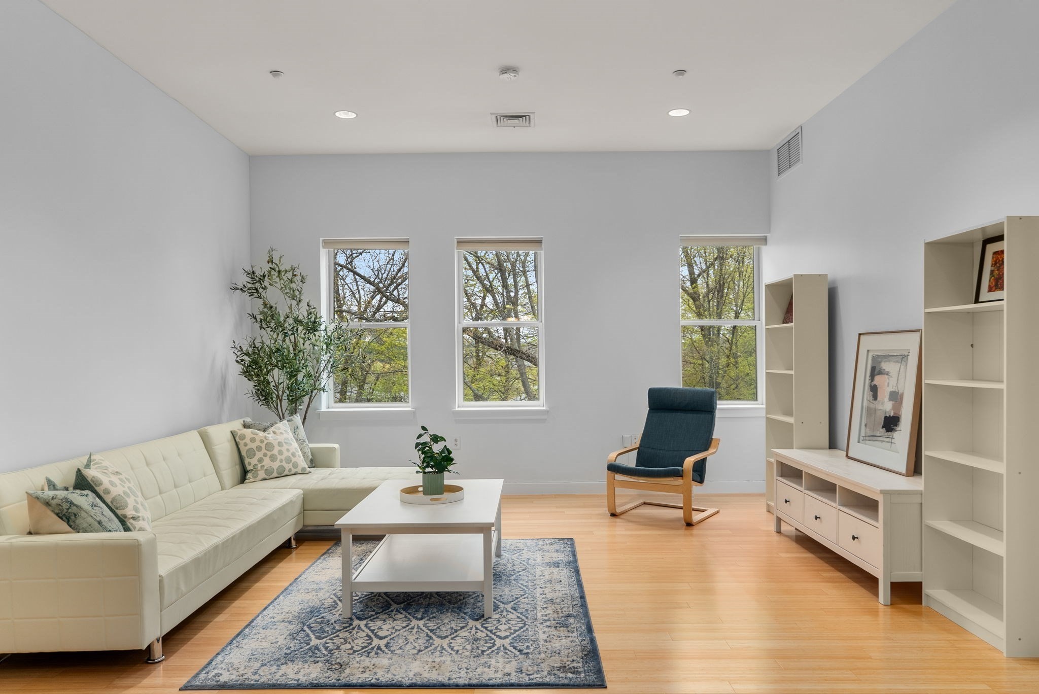 99 Chestnut Hill Avenue Unit 310, Brighton, Boston, MA 02135