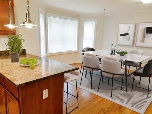 14-16 Notre Dame Street, Apt 4