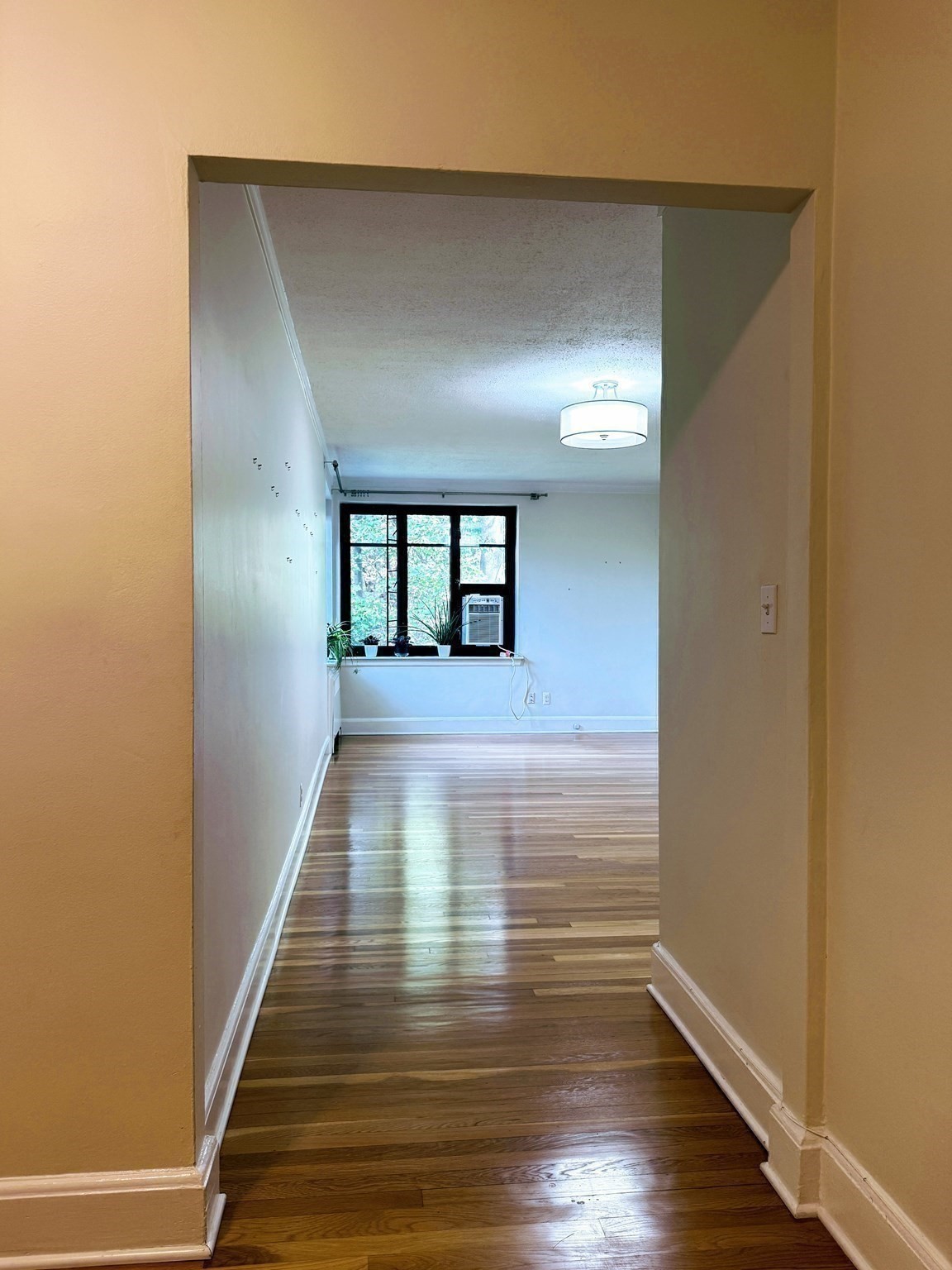 65 Strathmore Rd Unit 49, Boston College, Boston, MA 02135 - Image 14