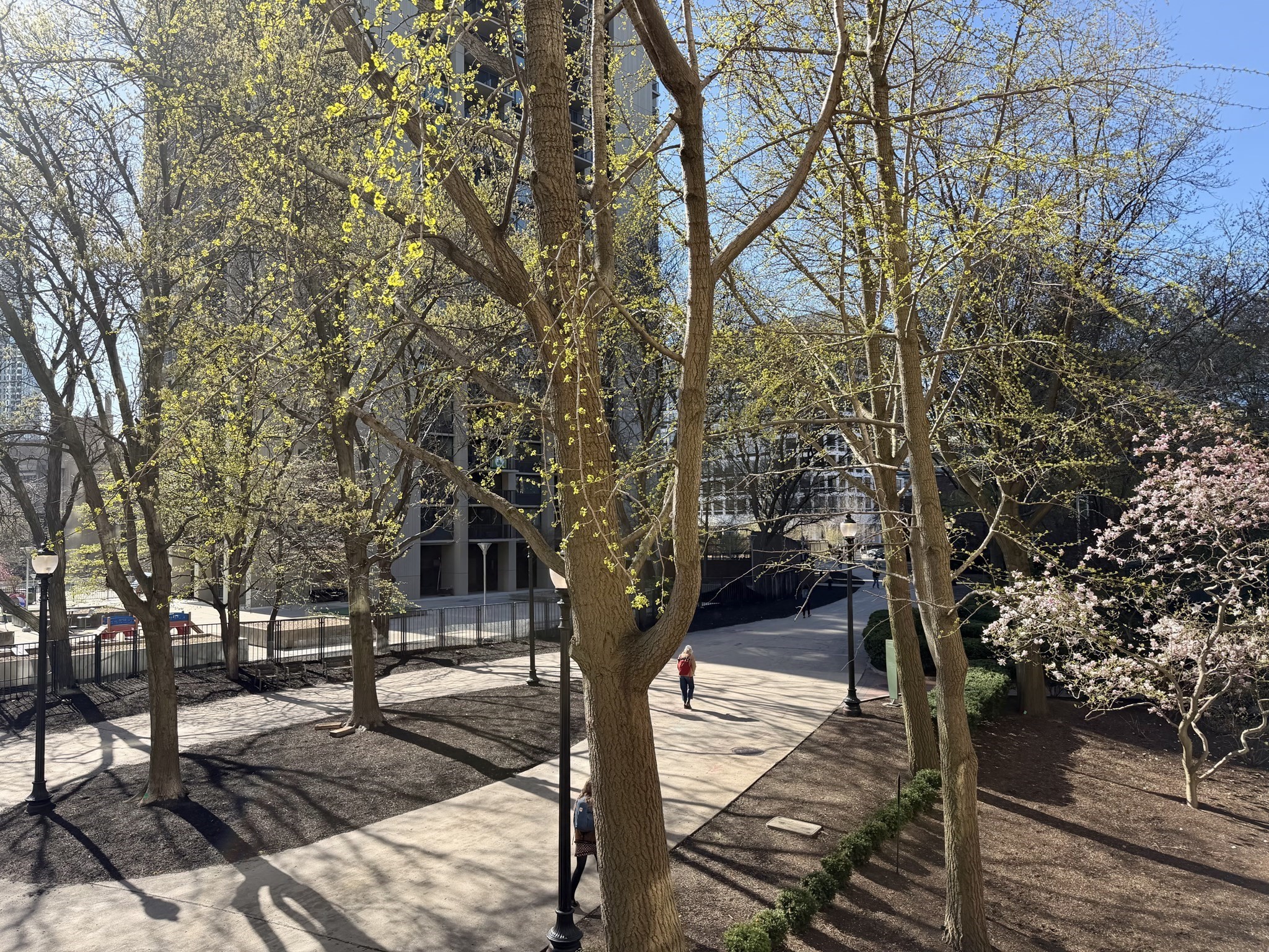 9 Hawthorne Place Unit 2J, West End, Boston, MA 02114 - Image 19