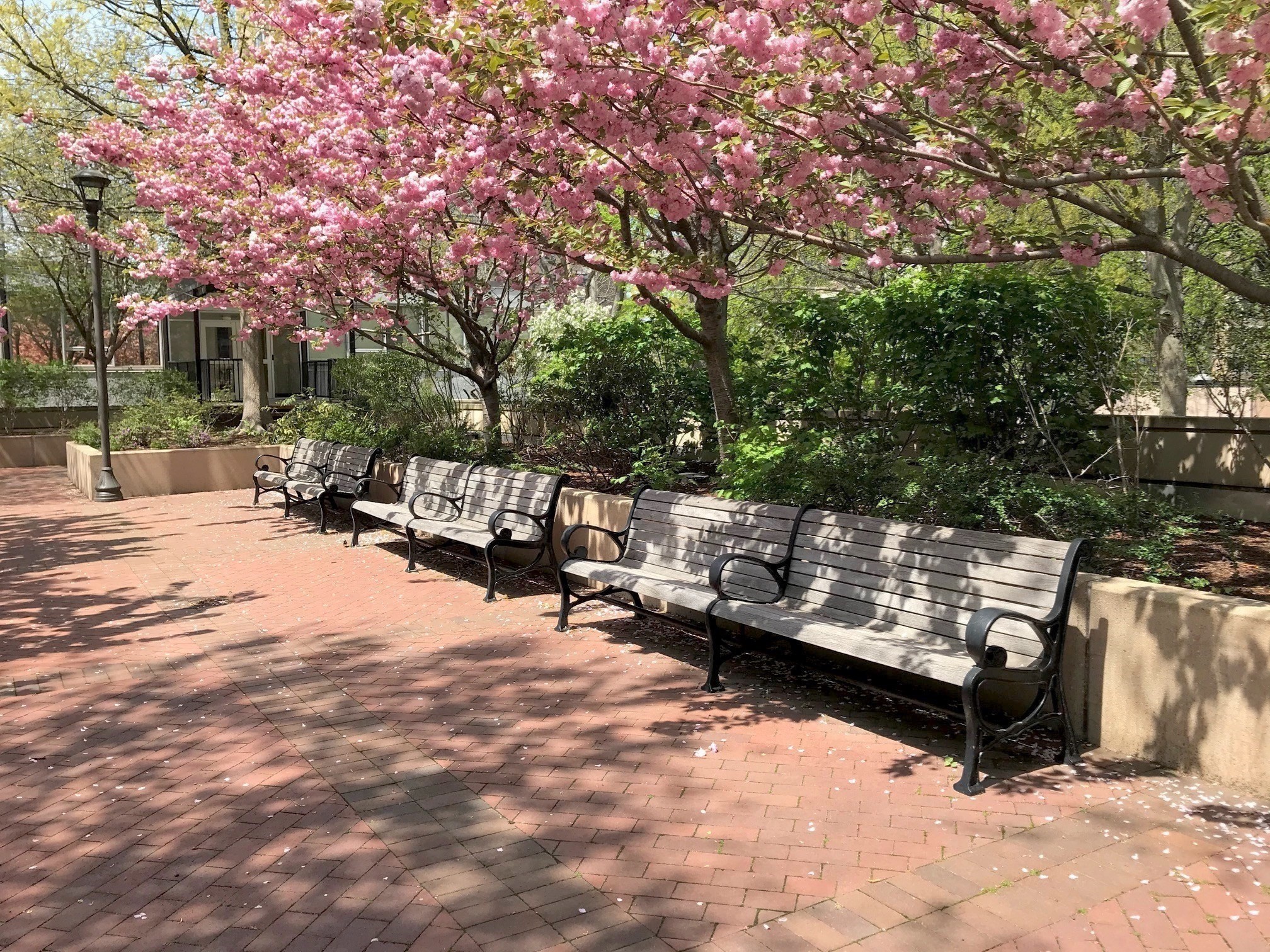 9 Hawthorne Place Unit 2J, West End, Boston, MA 02114 - Image 20