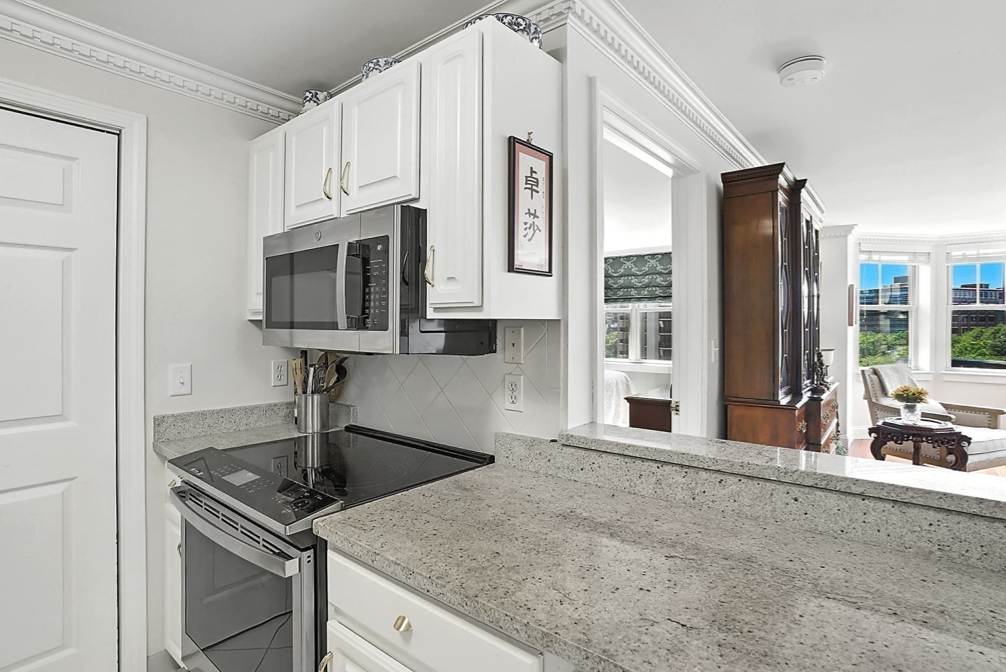 150 Staniford Street Unit PH9, West End, Boston, MA 02114 - Image 8