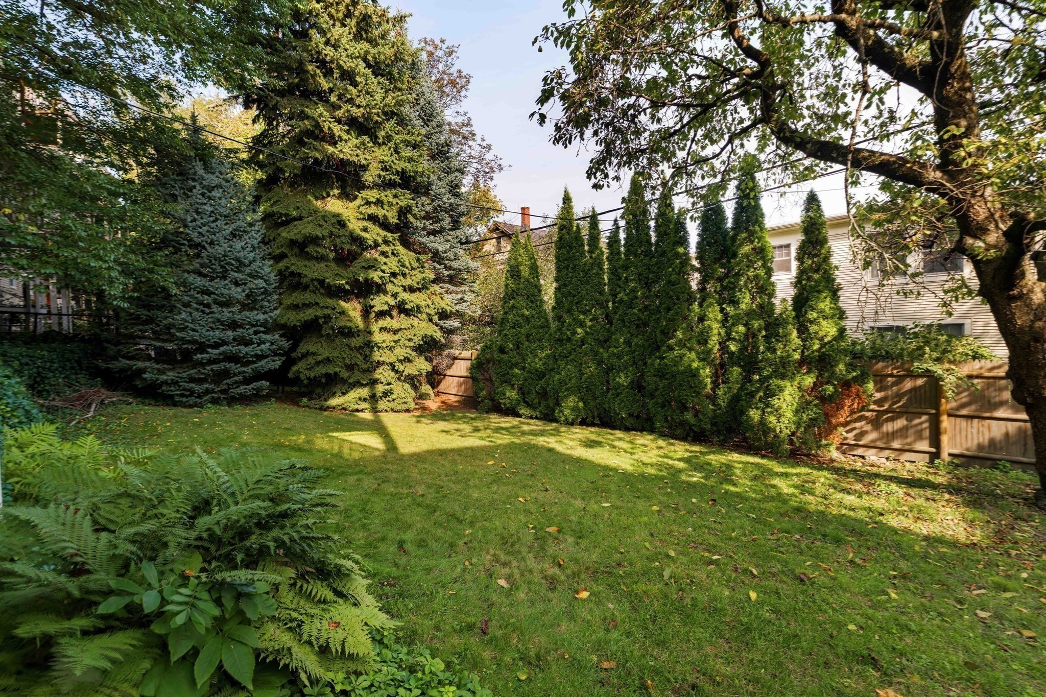 164 Calumet Street, Mission Hill, Boston, MA 02120 - Image 22