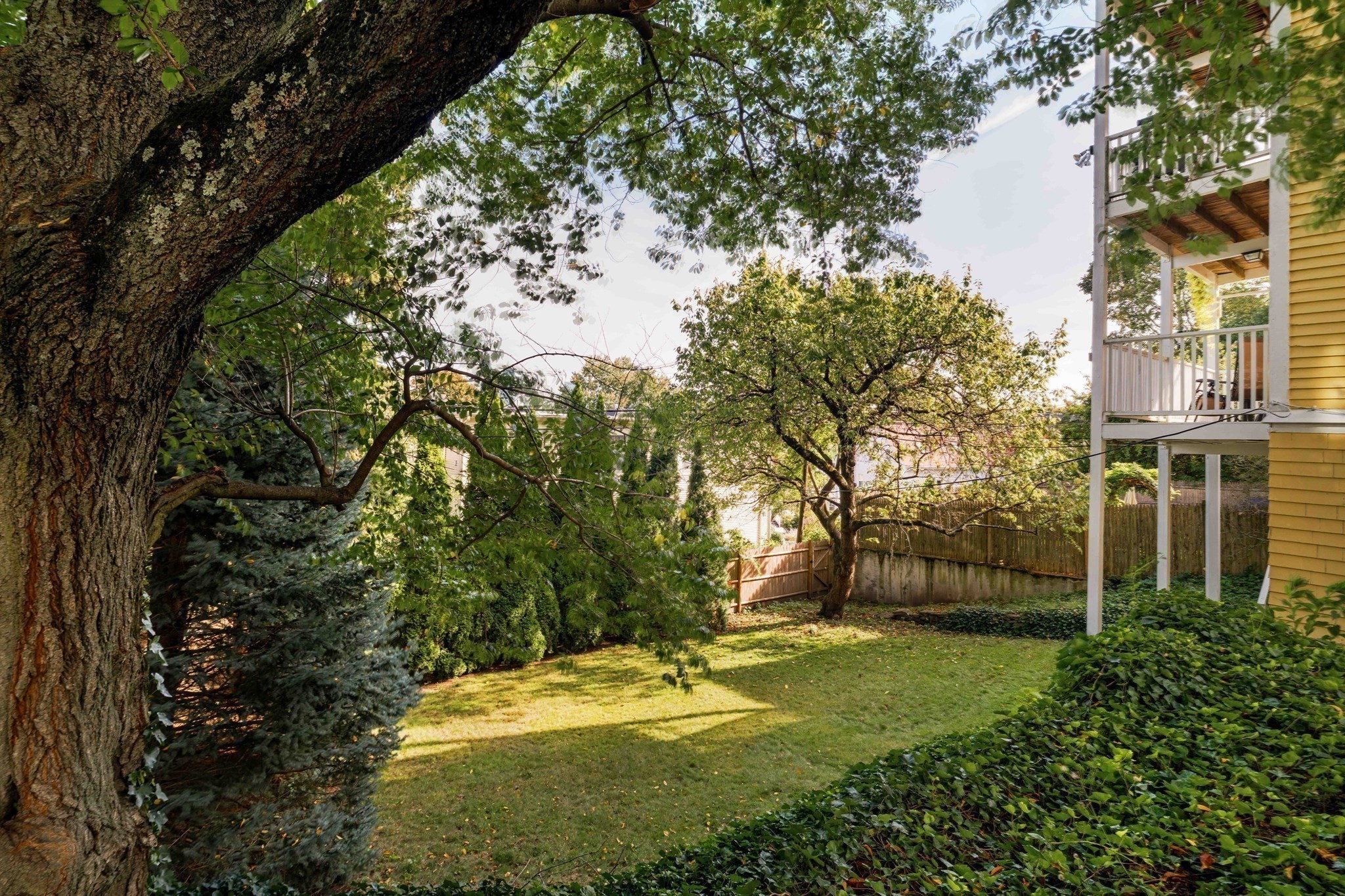 164 Calumet Street, Mission Hill, Boston, MA 02120 - Image 23