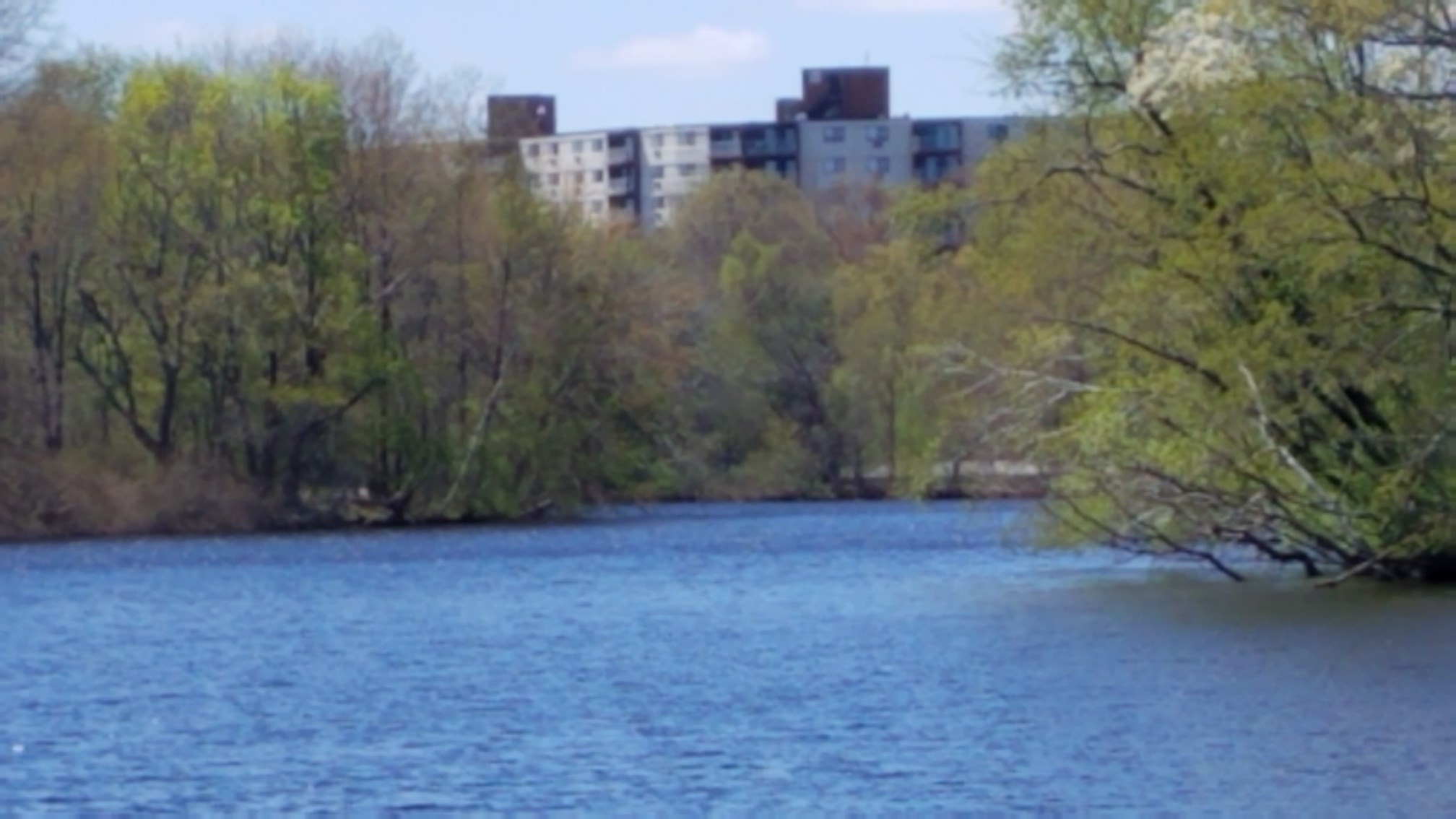 151 Coolidge Ave Unit 105, Watertown, MA 02472