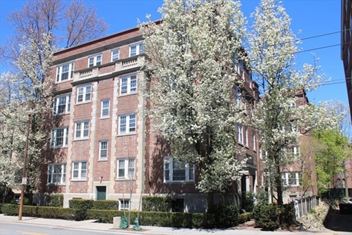 31 Concord Ave, Apt 11