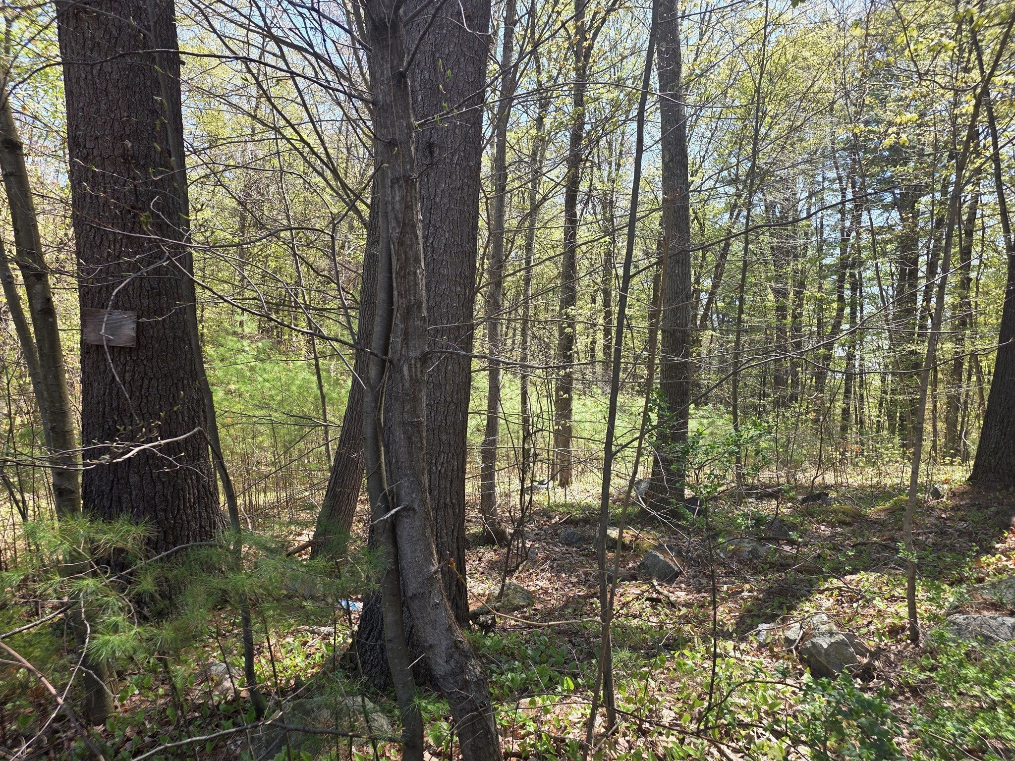 2 Beacon St, Orange, MA 01364