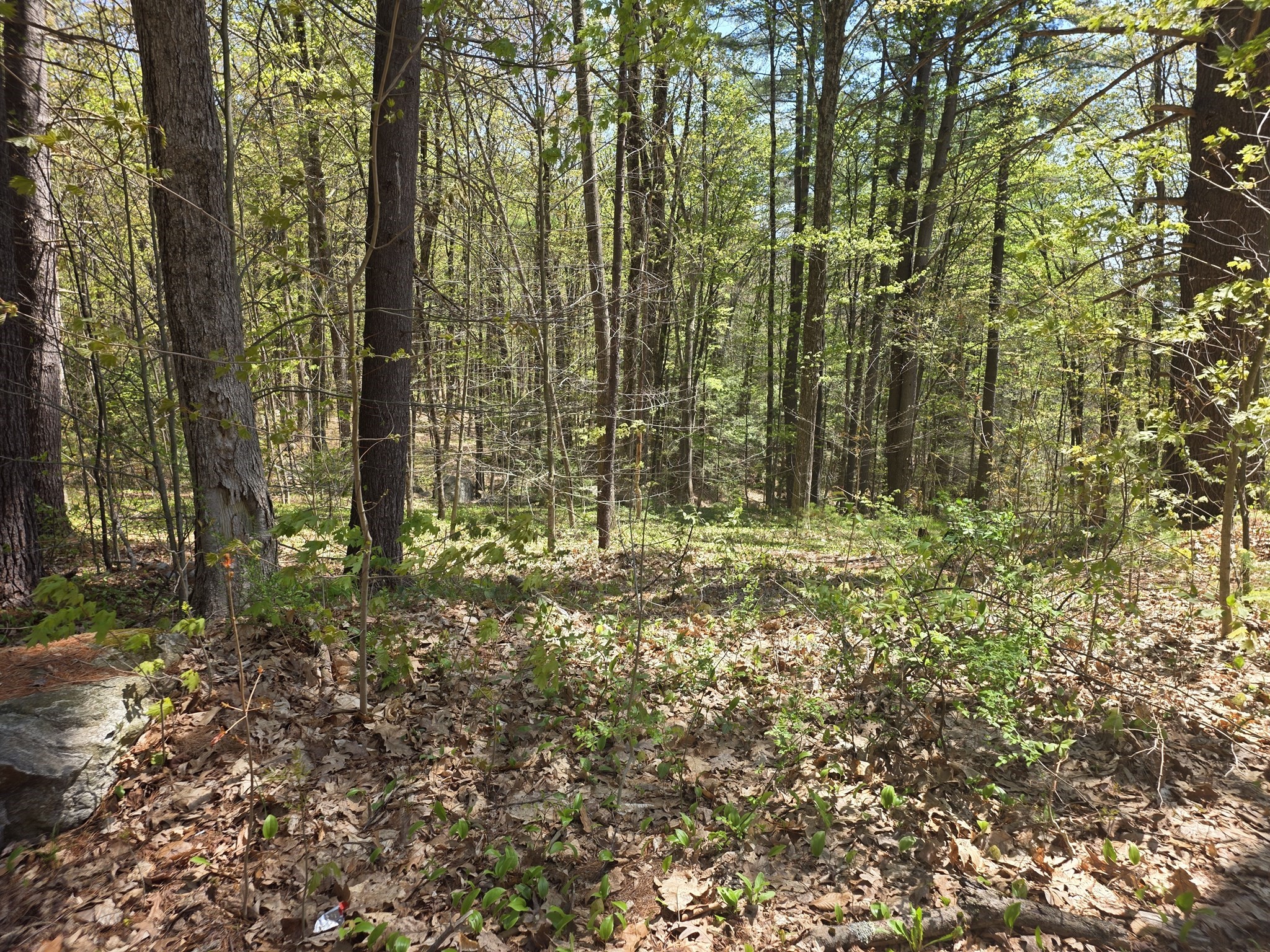 3 Beacon St, Orange, MA 01364