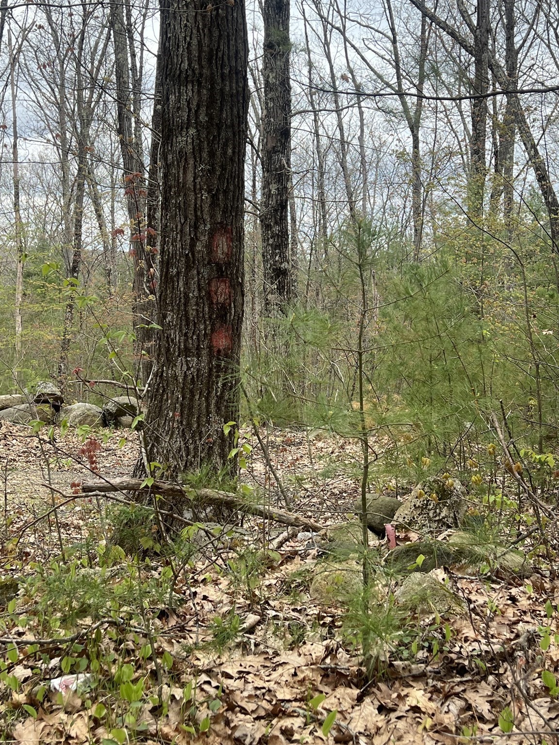 0 Miner Rd, Hardwick, MA 01037