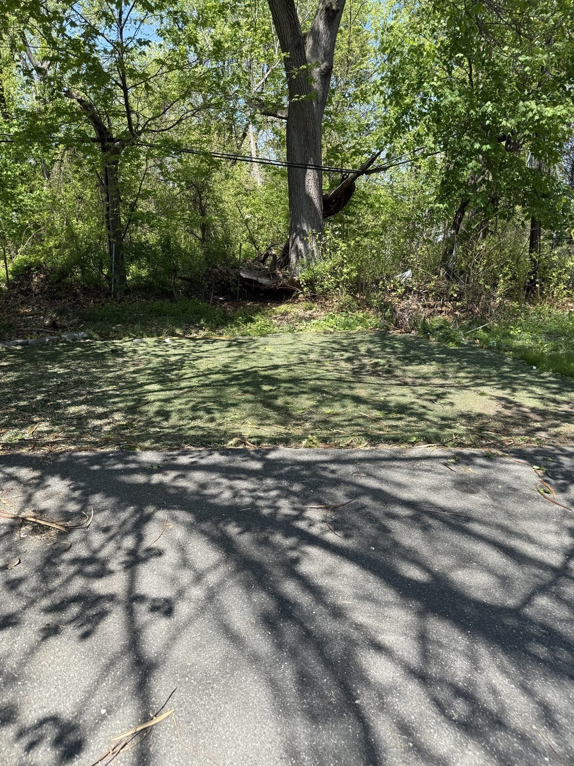 108 Alden St, Springfield, MA 01109 - Image 39