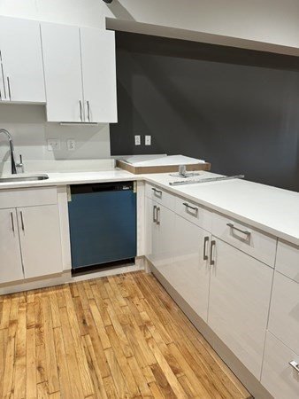 70 Northampton Unit 301, Roxbury, Boston, MA 02118 - Image 2