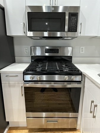 70 Northampton Unit 301, Roxbury, Boston, MA 02118 - Image 3