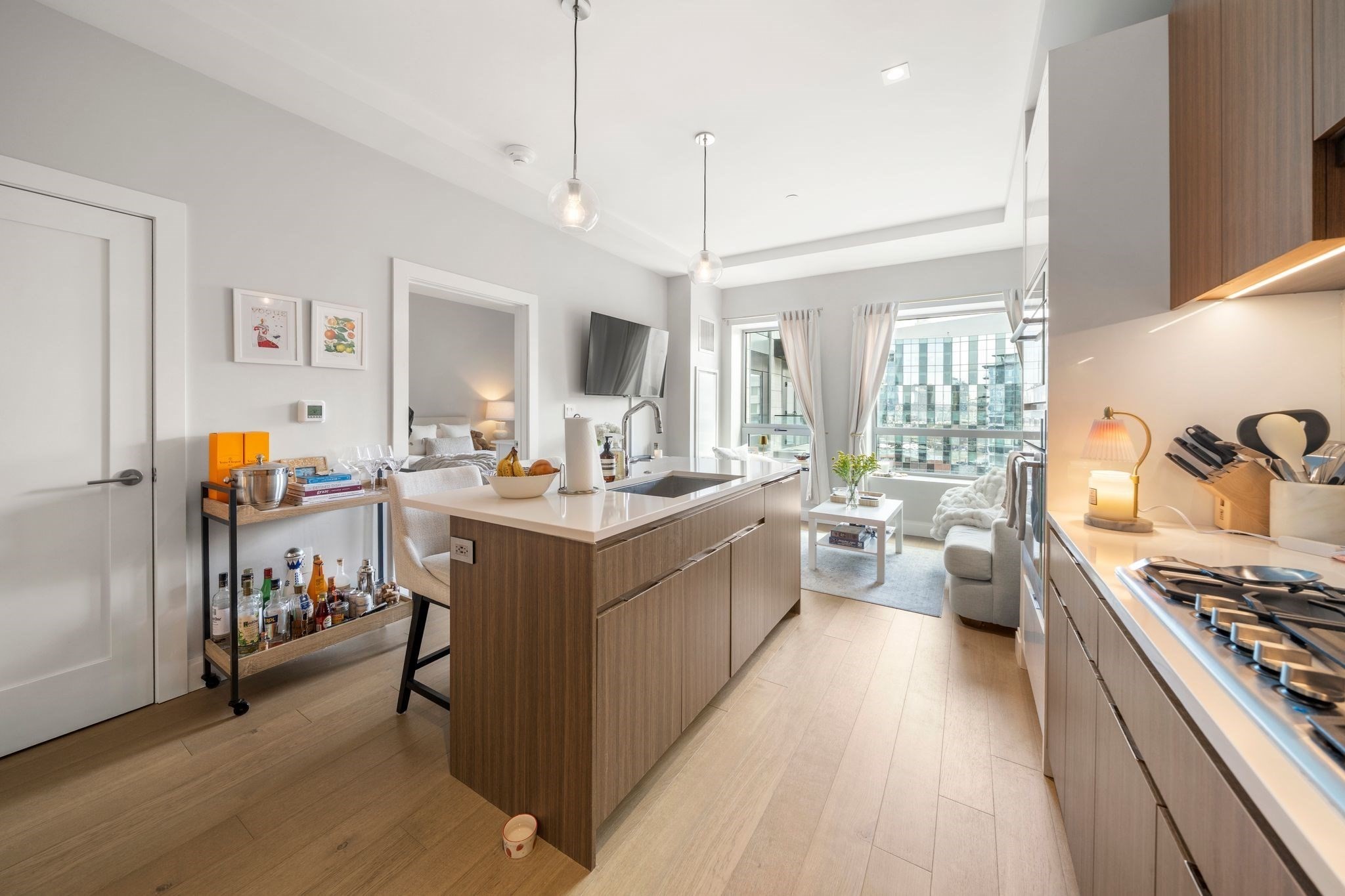 100 Shawmut Ave Unit 911, South End, Boston, MA 02118 - Image 2