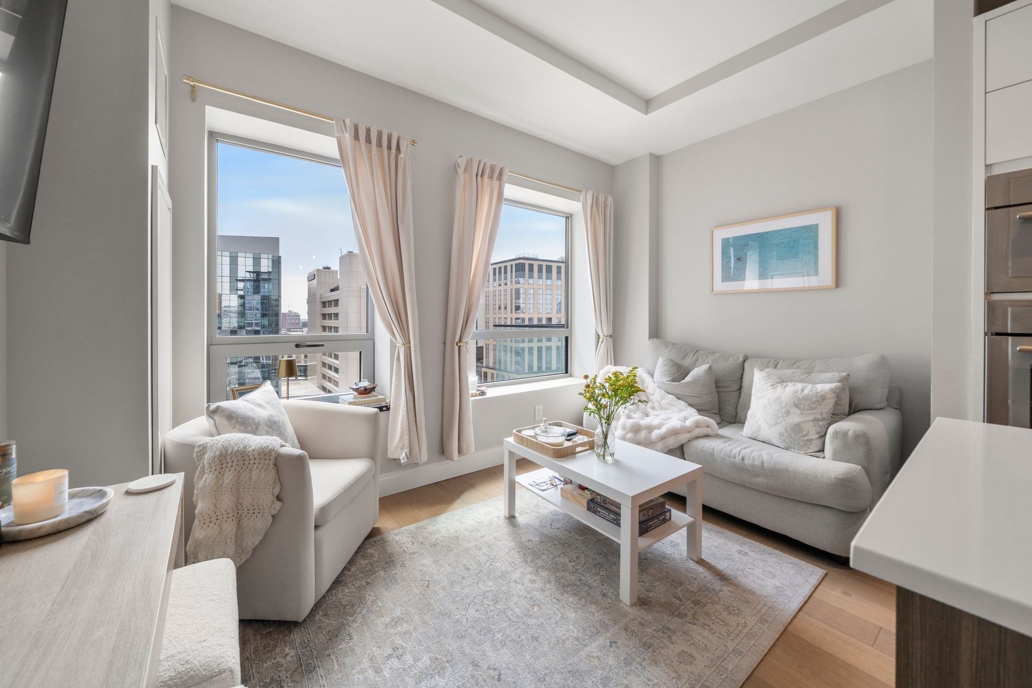 100 Shawmut Ave Unit 911, South End, Boston, MA 02118 - Image 6
