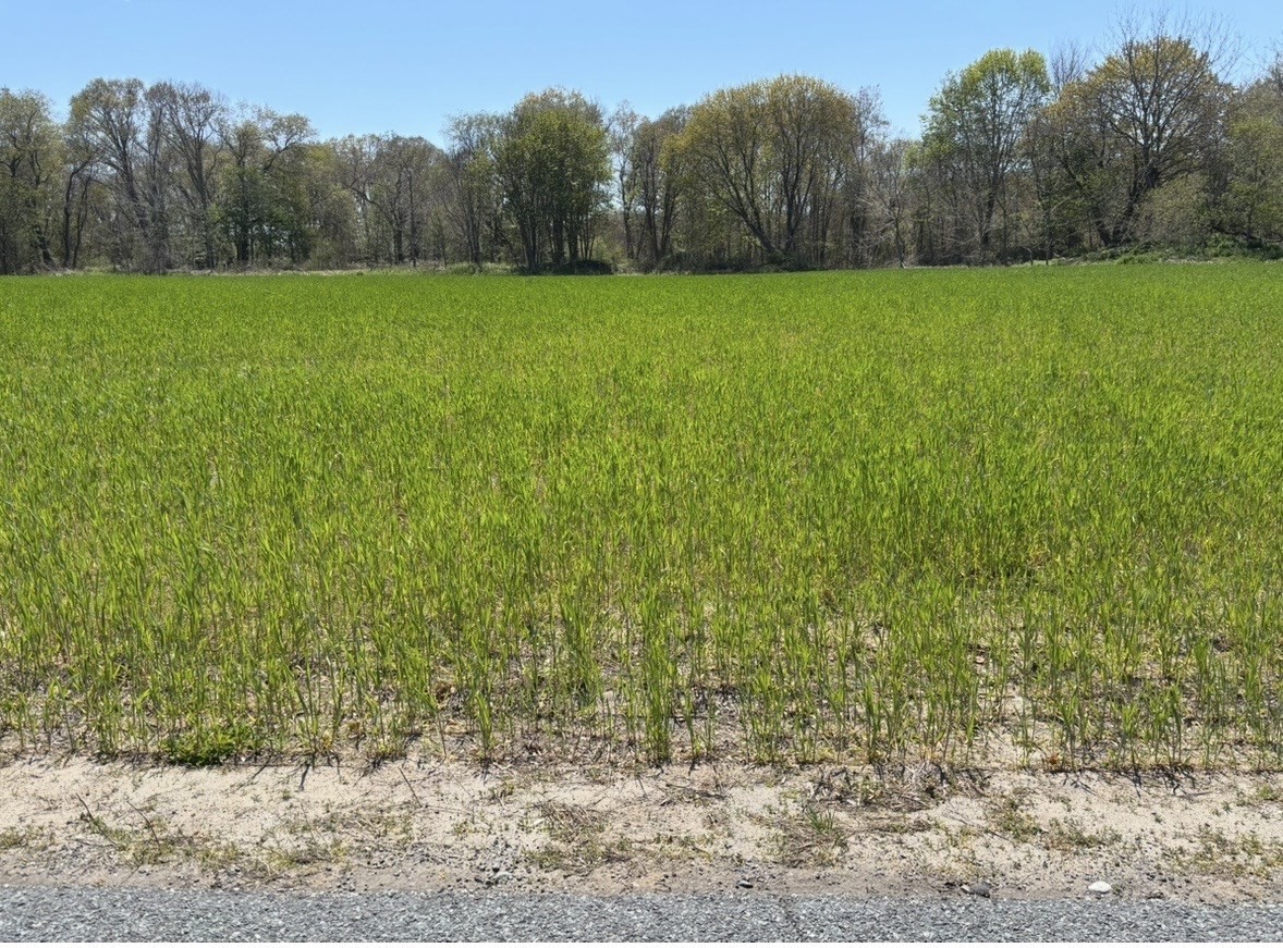 205 Providence St. Bldr. Lot 4, Rehoboth, MA 02769