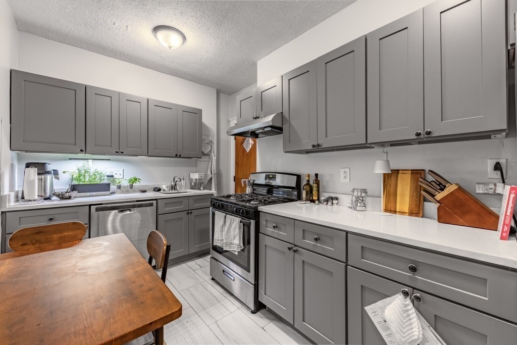 189 Chestnut Hill Avenue Unit 11, Boston College, Boston, MA 02135 - Image 3