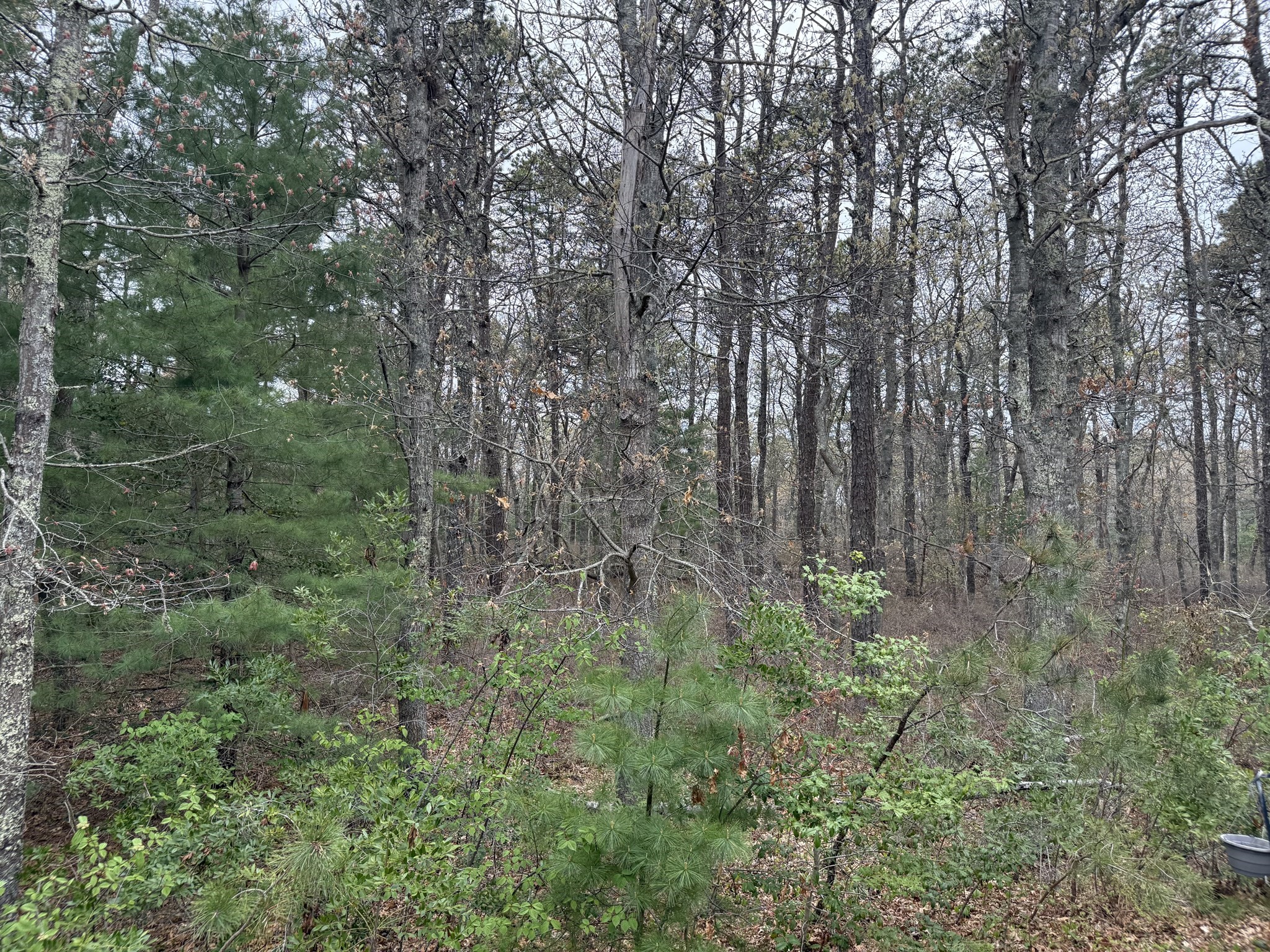 75 Newton St, Northborough, MA 01532