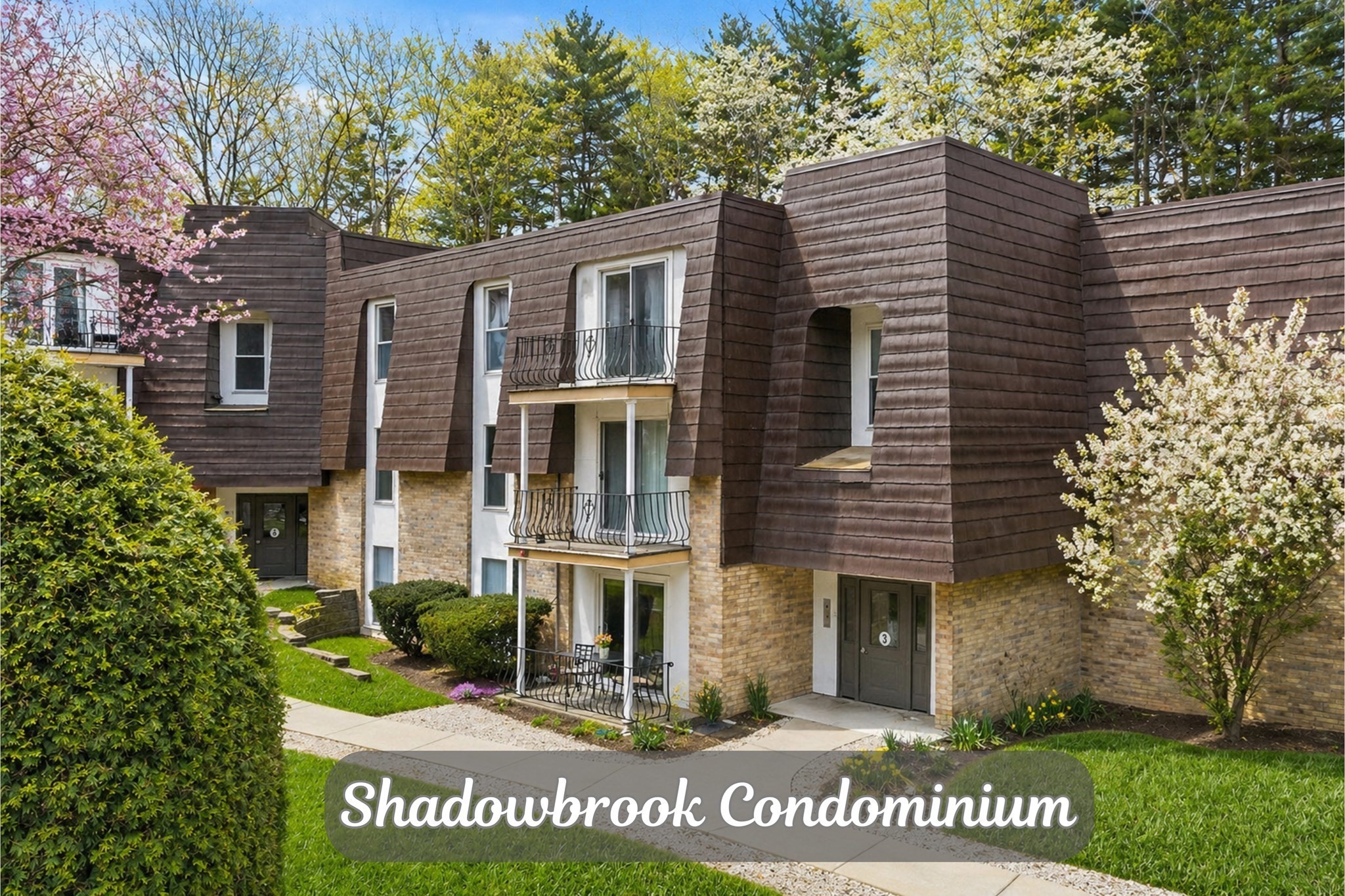 3 Shadowbrook Ln Unit 3, Milford, MA 01757