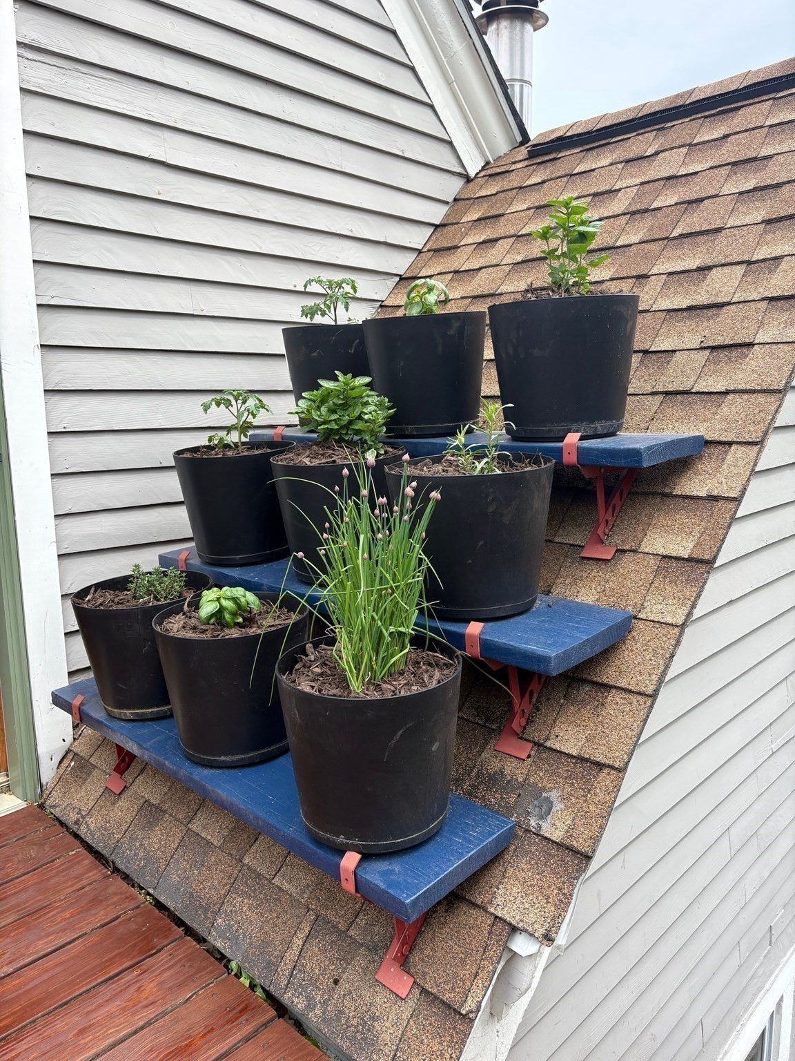 23 Ashmont St Unit 3, Dorchester, Boston, MA 02124 - Image 19