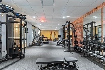 1243 Adams Street Unit PM207, Mattapan, Boston, MA 02124 - Image 13