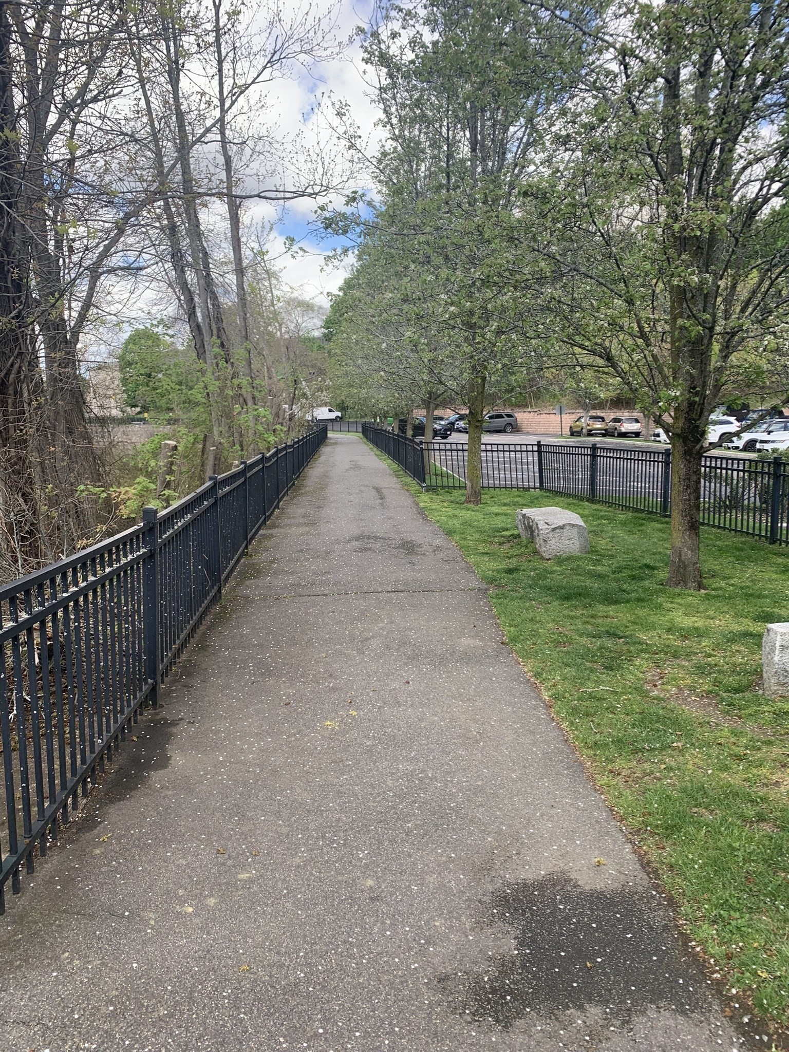 1243 Adams Street Unit PM207, Mattapan, Boston, MA 02124 - Image 23
