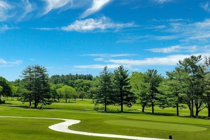 51 Cape Club Drive, Sharon, MA 02067 - Image 3
