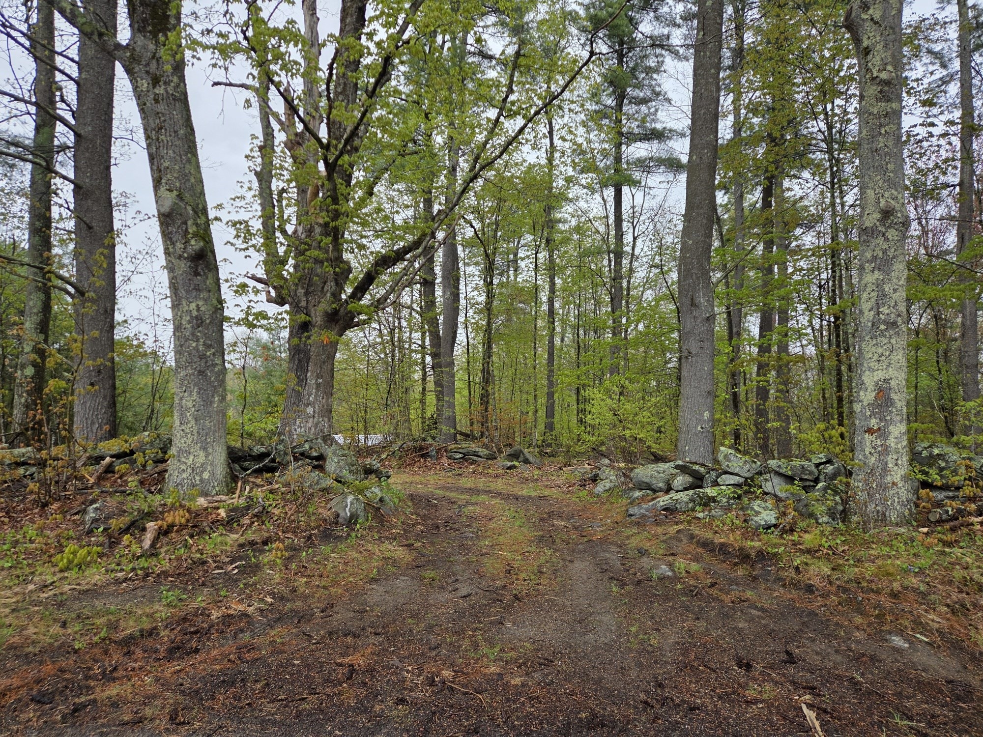 3 Petersham Road, Phillipston, MA 01331