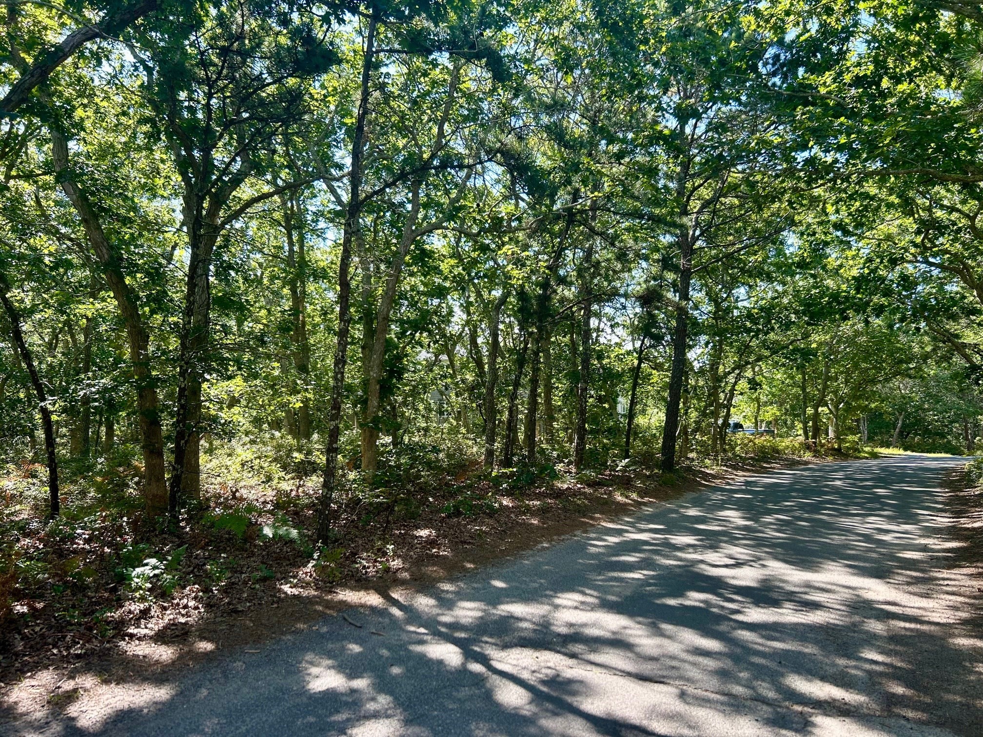 11 Boylston Drive, Edgartown, MA 02539