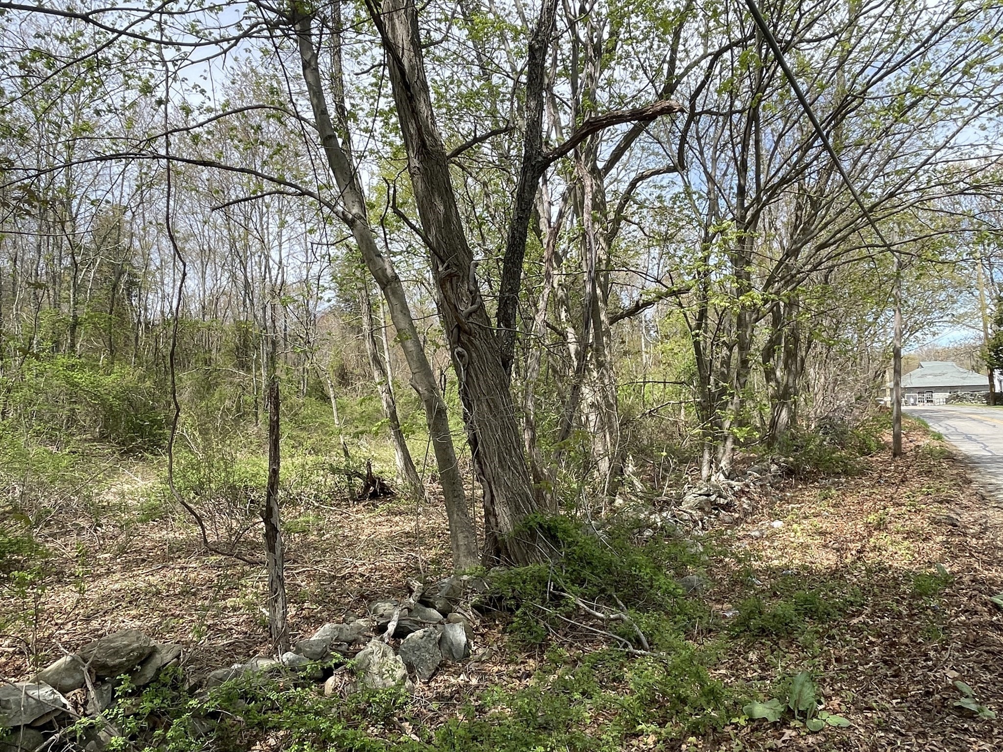 2729 Elm Street, Dighton, MA 02715