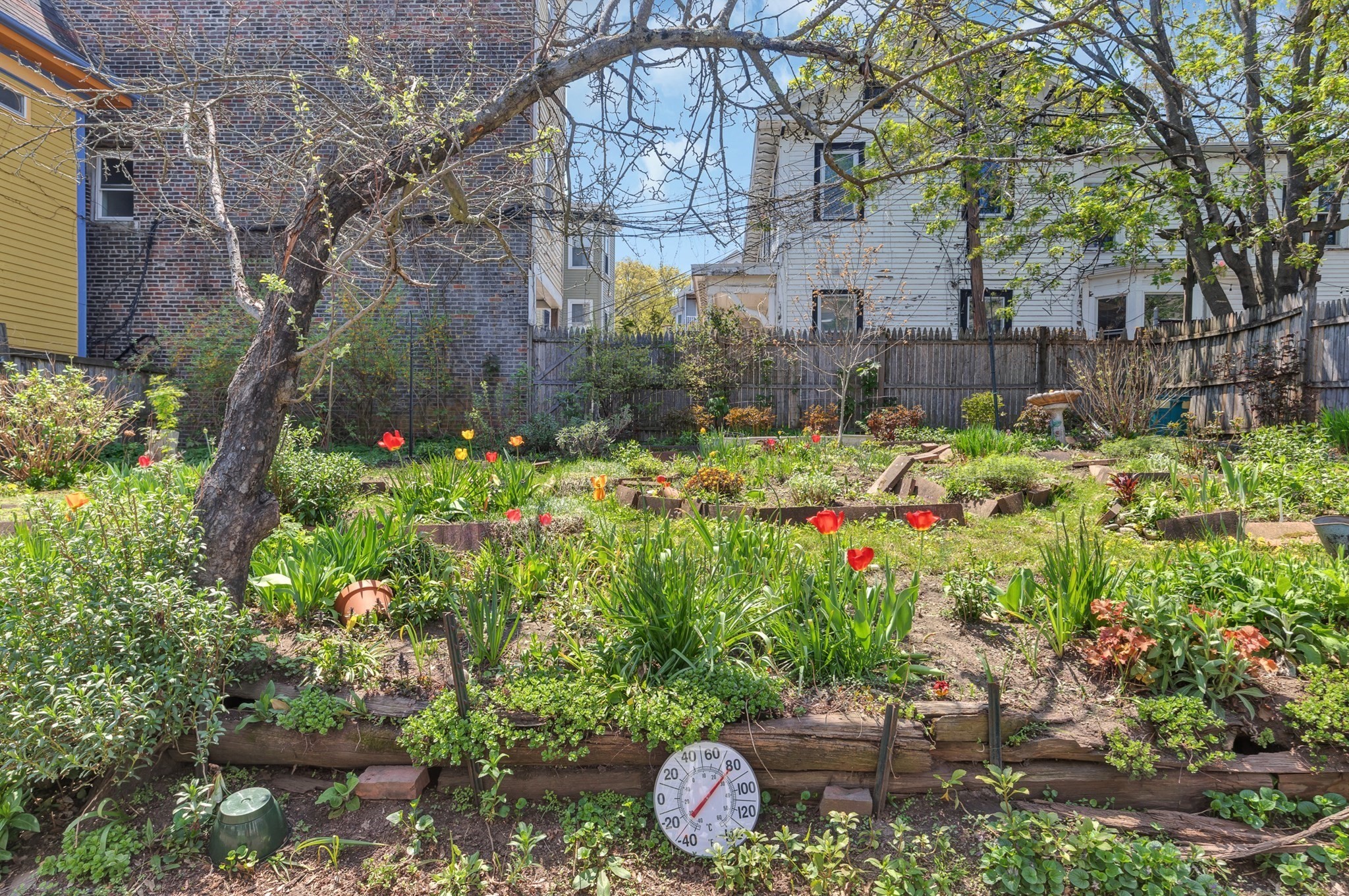 34 Alleghany Street, Mission Hill, Boston, MA 02120 - Image 36