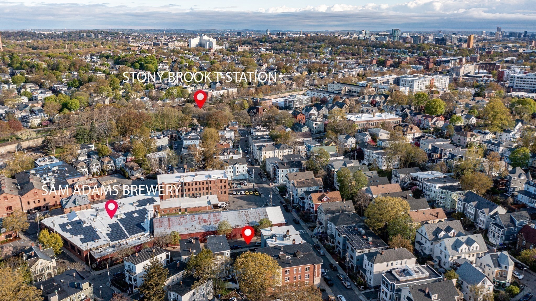 6 Brookside Ave, Jamaica Plain, Boston, MA 02130 - Image 8