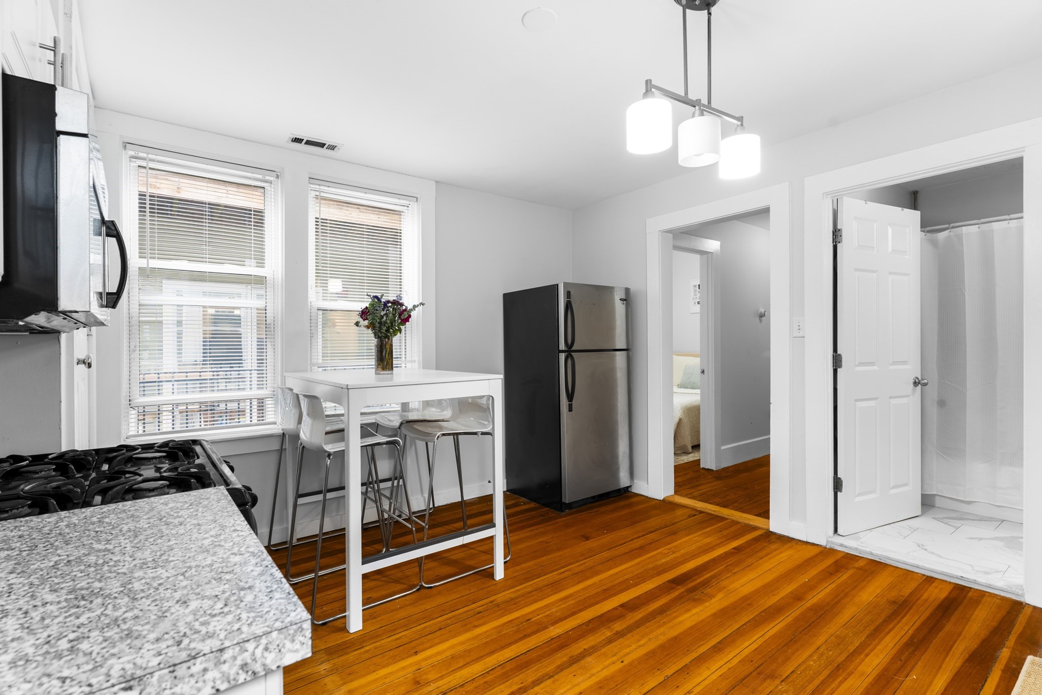 181 W 5th St Unit 2, South Boston, Boston, MA 02127 - Image 13