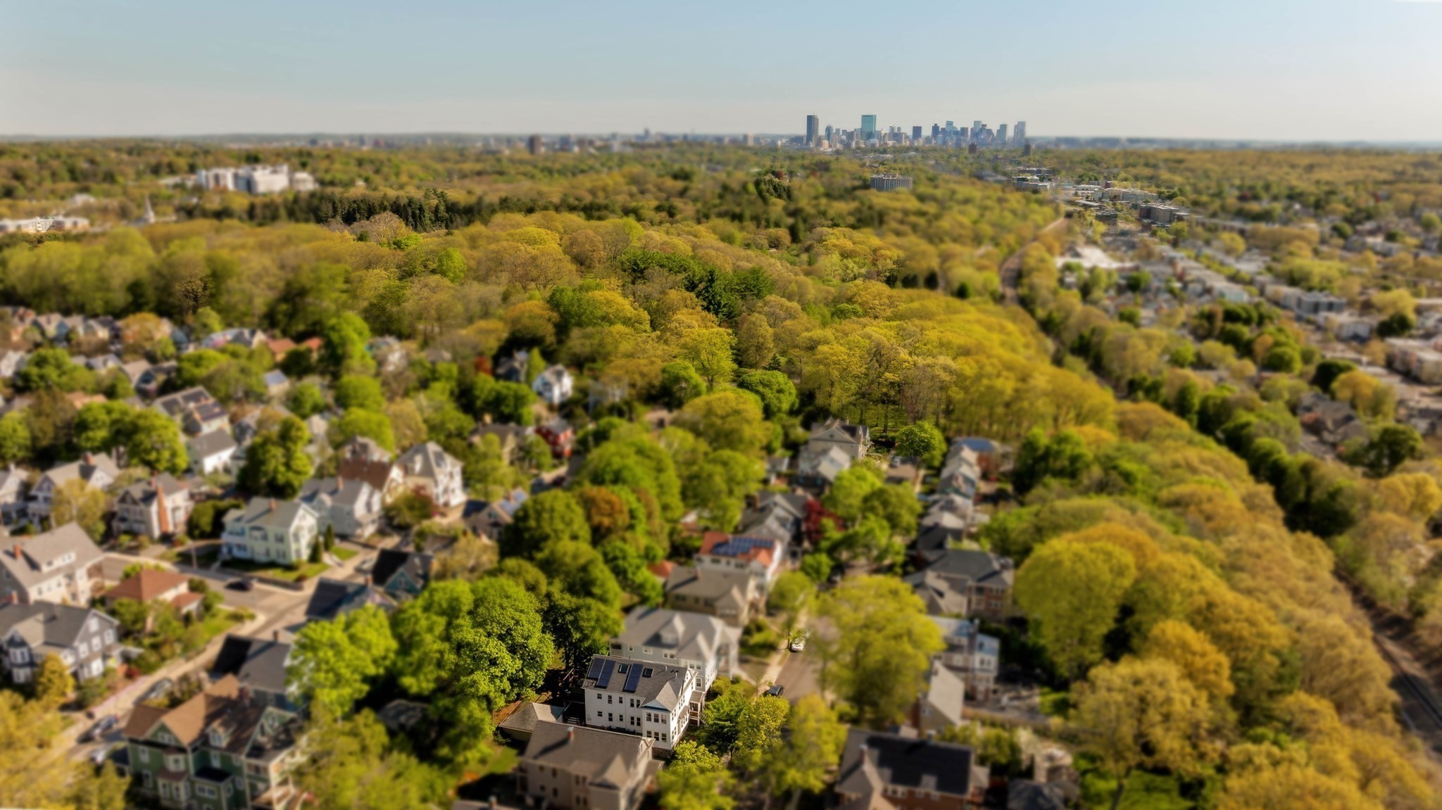 16 Arborough Road Unit 2, Roslindale, Boston, MA 02131 - Image 38