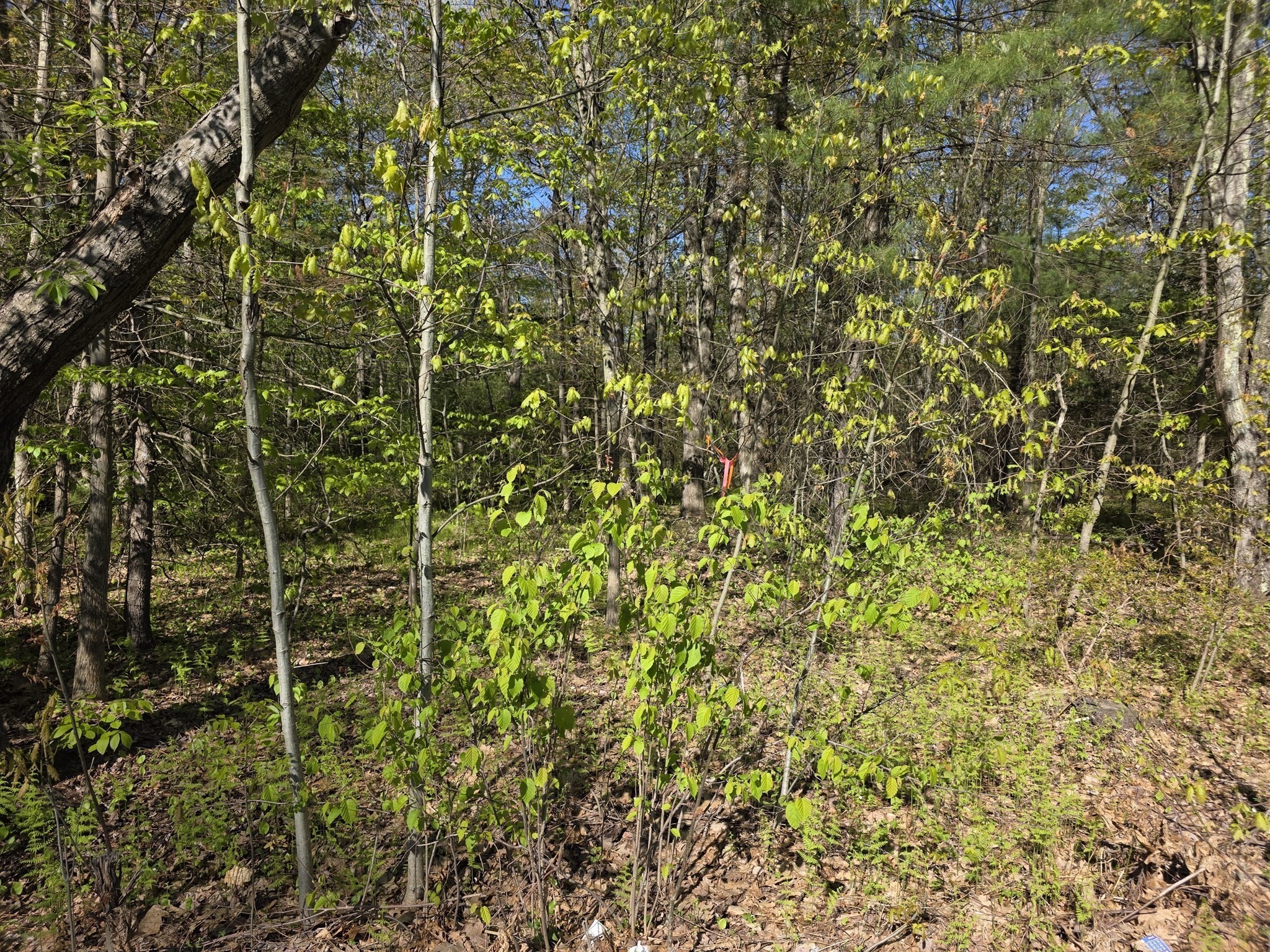 14 West St, Ludlow, MA 01056