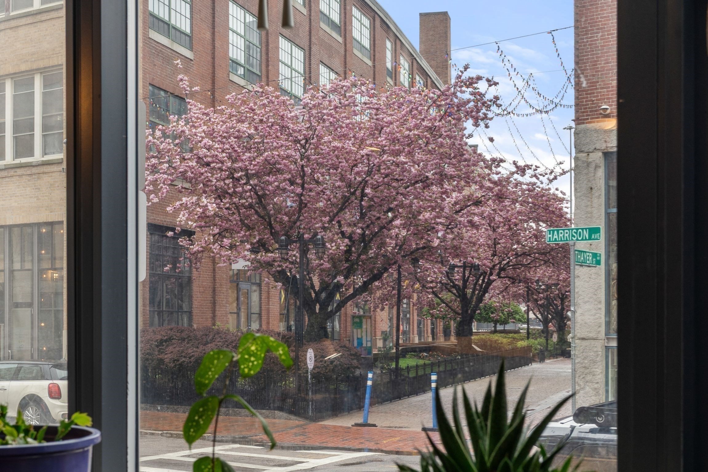 1180 Washington St Unit 121, South End, Boston, MA 02118 - Image 17