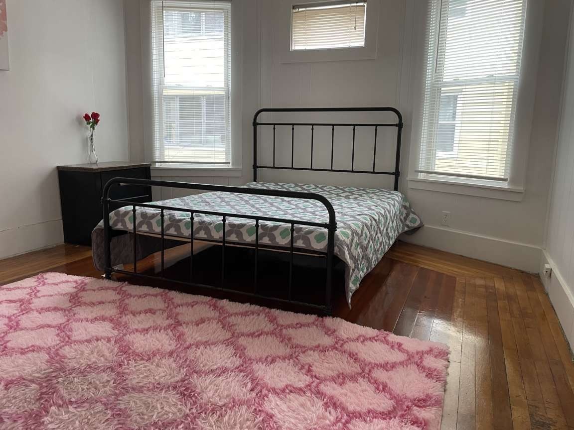 16 Alderman St., Springfield, MA 01108 - Image 7