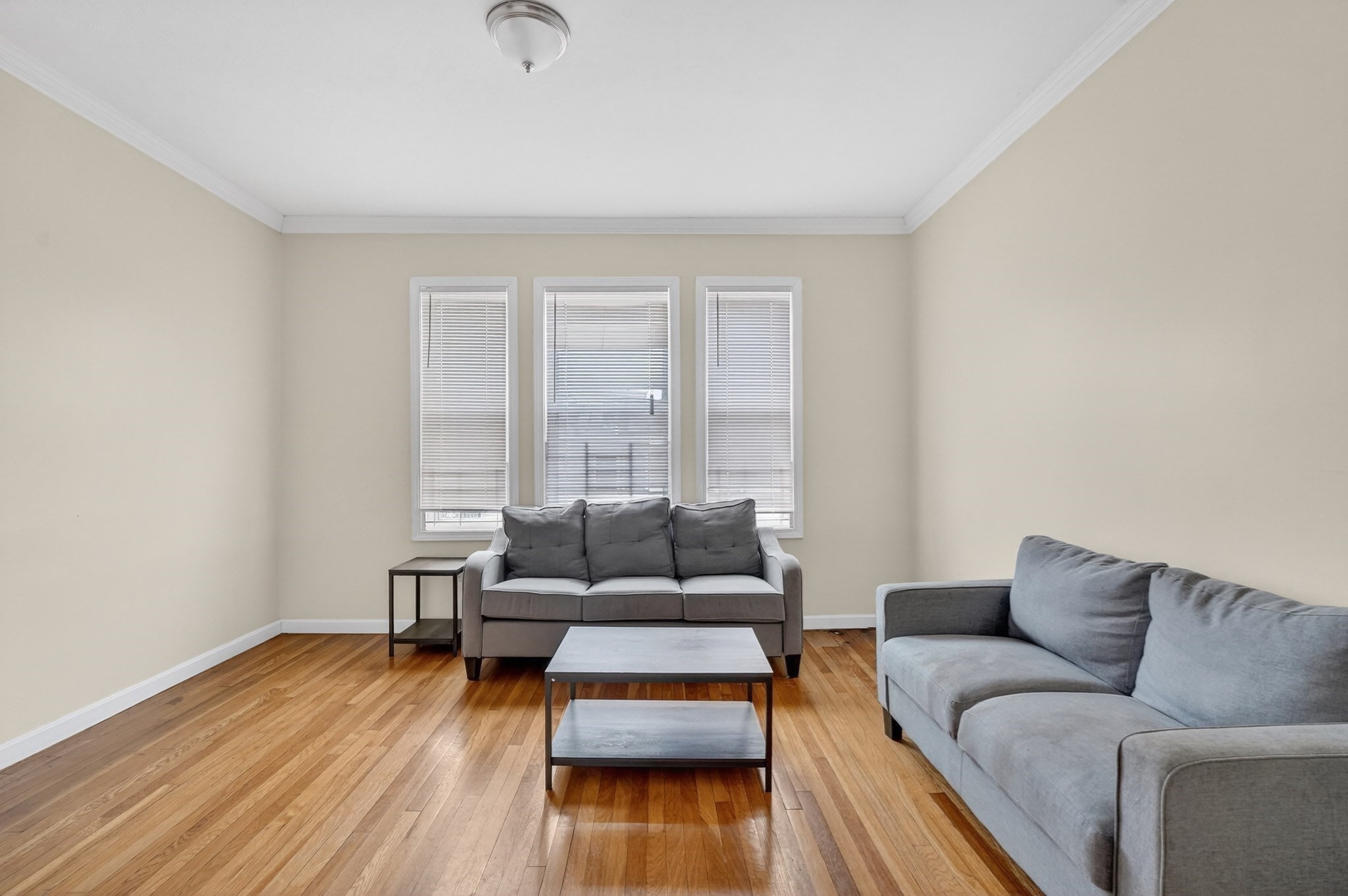 19 Hosmer St, Mattapan, Boston, MA 02126 - Image 25