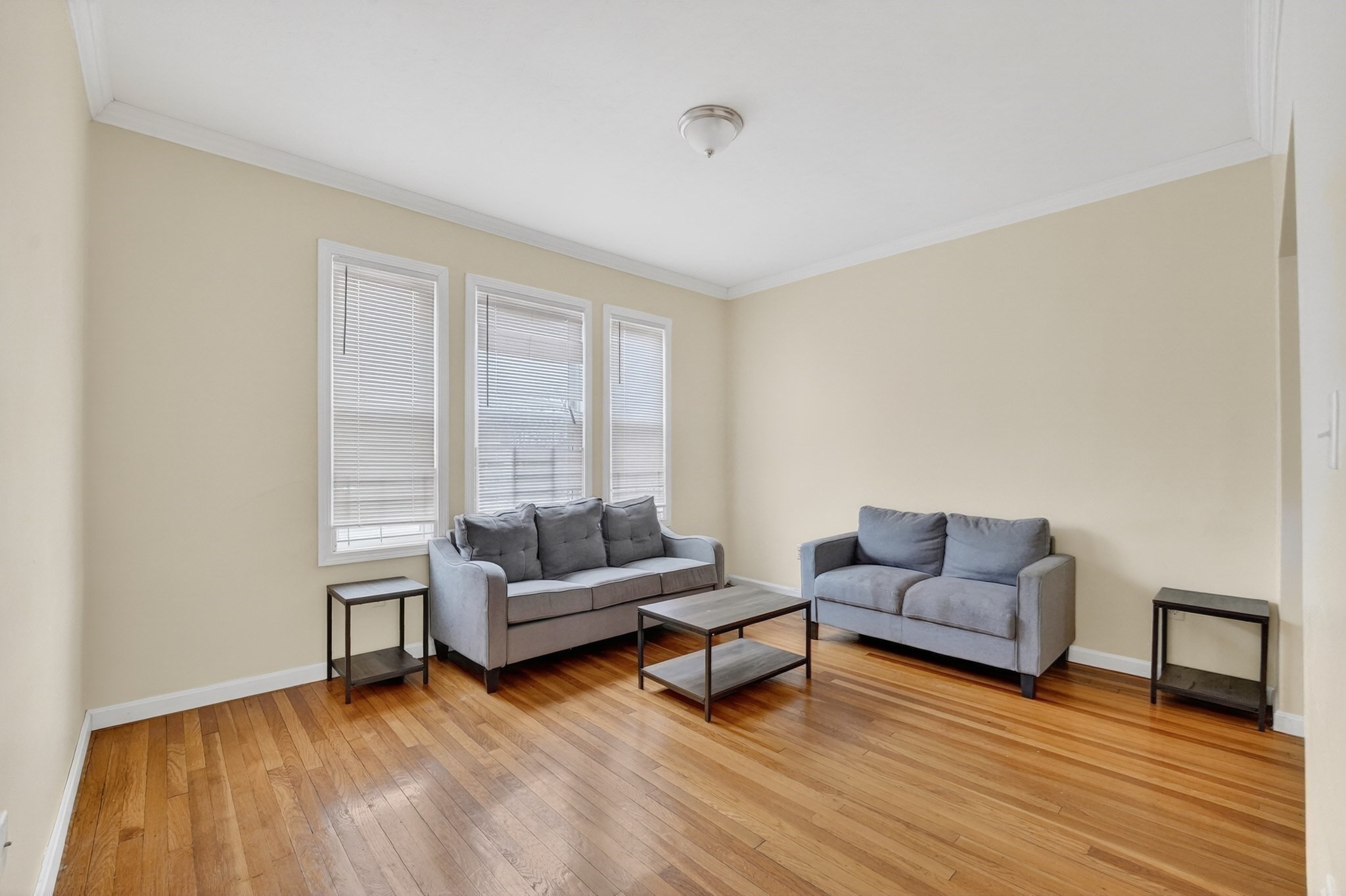 19 Hosmer St, Mattapan, Boston, MA 02126 - Image 26