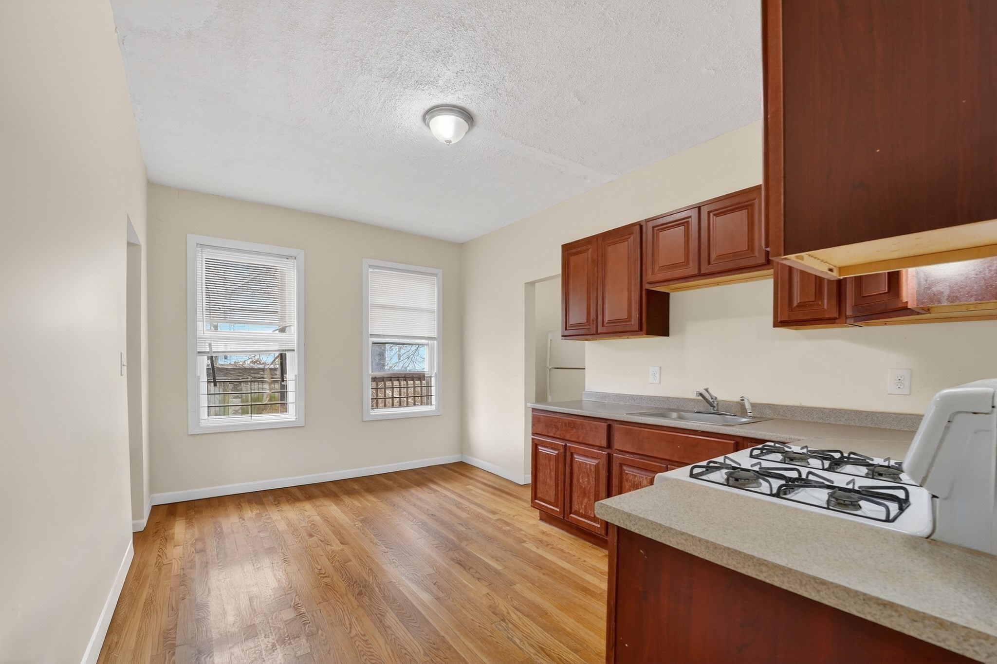 21 Hosmer St, Mattapan, Boston, MA 02126 - Image 13