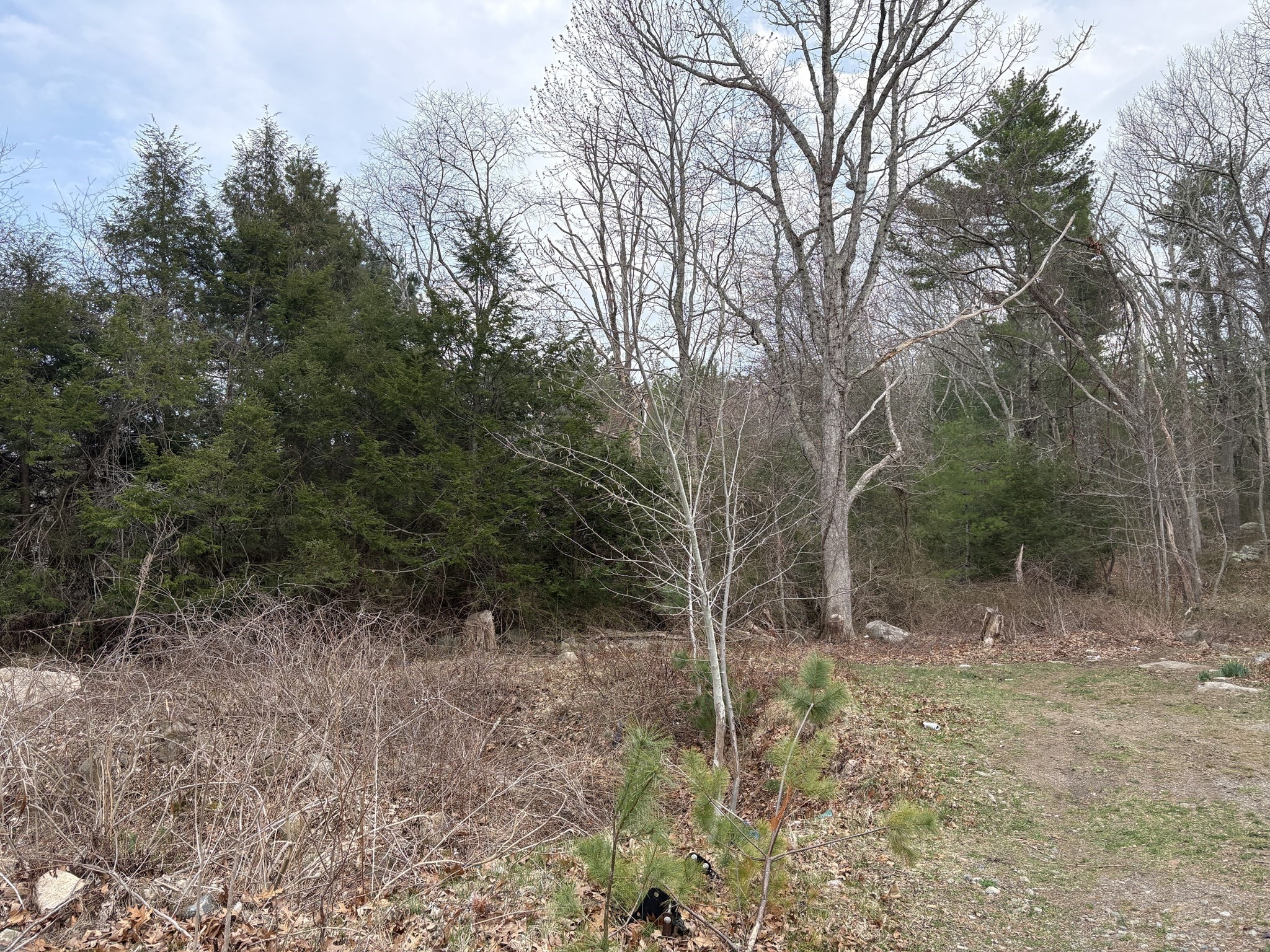 79 Woodman St, Gloucester, MA 01930 - Image 1