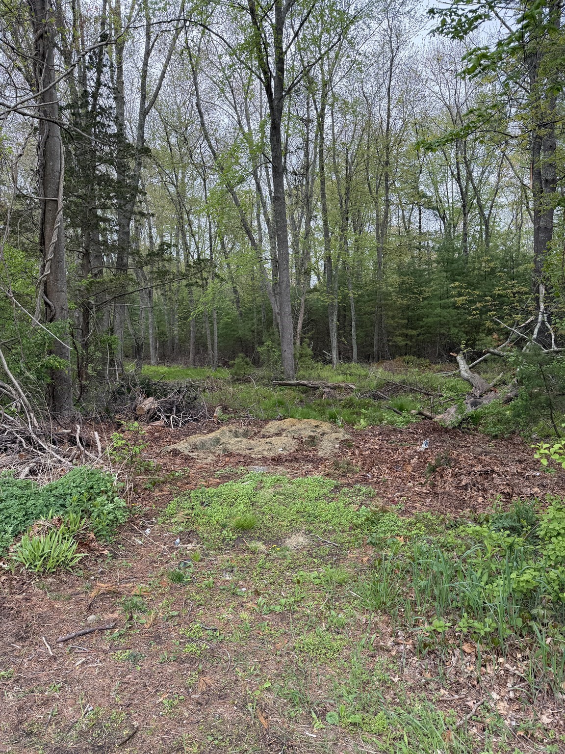 0 Harvey Street, Taunton, MA 02780