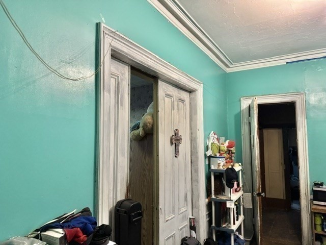 495 Warren St., Roxbury, Boston, MA 02121 - Image 16